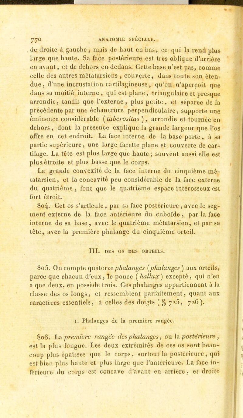 de droite à gauche, niais de haut en bas, ce qui la reud plus large que haute. Sa face postérieure est très oblique d'arrière en avant, et de dehors en dedans. Cette base n'est pas, comme celle des autres métatarsiens , couverte, dans toute son éten- due, d'une incrustation cartilagineuse, qu'on n'aperçoit que dans sa moitié interne, qui est plane, triangulaire et presque arrondie, tandis que l'externe, plus pelite, et séparée de la précédente par une échancrure perpendiculaire, supporte une éminence considérable (tuberositas ) , arrondie et tournée en dehors, dont la présence explique la grande largeur que l'os offre en cet endroit. La face interne de la base porte, à sa partie supérieure, une large facette plane et couverte de car- tilage. La tête est plus large que haute; souvent aussi elle est plus étroite et plus basse que le corps. La grande convexité de la face interne du cinquième mé- tatarsien, et la concavité peu considérable de la l'ace externe du quatrième , font que le quatrième espace interosseux est fort étroit. 804. Cet os s'articule, par sa face postérieure, avec le seg- ment externe de la face antérieure du cuboîde, par la face interne de sa base, avec le quatrième métatarsien, et par sa tête, avec la première phalange du cinquième orteil. III. DES OS DES ORTEILS. 805. On compte quatorze phalanges [phalanges) aux orteils, parce que chacun d'eux, ïe pouce [hallux) excepté, qui n'en a que deux, en possède trois. Ces phalanges appartiennent à la classe des os longs, et ressemblent parfaitement, quant aux caractères essentiels, à celles des doigts (§ 726, 726). 1. Phalanges de la première rangée. 806. ha première rangée des phalanges, ou la postérieure, est la plus longue. Les deux extrémités de ces os sont beau- coup plus épaisses que le corps, surtout la postérieure, qui est bier plus haute et plus large que l'antérieure. La face in- férieure du corps est concave d'avant en arrière, et droite