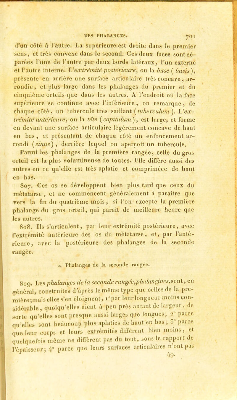 DES PIUI.ANCES. r-Oi d'un côté à l'autre. La supérieure est droite dans le premier sens, et très convexe dans le second. Ces deux faces sont sé- parées l'une de l'autre par deux bords latéraux, l'un externe et l'autre interne. L'extrémité postérieure, ou la base ( basis), présente en arrière une surface articulaire très concave, ar- rondie, et plus large dans les phalanges du premier et du cinquième orteils que dans les autres. A l'endroit où la face supérieure se continue avec l'inférieure, on remarque, de chaque côté, un tubercule très saillant (tuberculum ). L'ex- trémité antérieure, ou la tête (capilulum), est large, et forme en devant une surface articulaire légèrement concave de haut en bas , et présentant de chaque côté un enfoncement ar- rondi (sinus) , derrière lequel on aperçoit un tubercule. Parmi les phalanges de la première rangée, celle du gros orteil est la plus volumineuse de toutes. Elle diffère aussi des autres en ce qu'elle est très aplatie et compriméee de haut en bas. 807. Ces os se développent bien plus tard que ceux du métatarse , et ne commencent généralement à paraître que vers la ûn du quatrième mois, si l'on excepte la première phalange du gros orteil, qui paraît de meilleure, heure que les autres. 808. Ils s'articulent, par leur extrémité postérieure, avec l'extrémité antérieure des os du métatarse, et, par l'anté- rieure, avec la postérieure des phalanges de la seconde rangée* 2. Phalanges de la seconde rangée. 80g. Les phalanges de la seconde rangée,phalangines,sont, en général, construites d'après le même type que celles de la pre- mière;mais elles s'en éloignent, i°par leur longueur moins con- sidérable, quoiqu'elles aient à peu près autant de largeur, de sorte qu'elles sont presque aussi larges que longues: 2° parce qu'elles sont beaucoup plus aplaties de haut en bas ; 5° parce que leur corps et leurs extrémités diffèrent bien moins, et quelquefois même ne diffèrent pas du tout, sous le rapport de l'épaisseur; 4 parce que leurs surfaces articulaires n'ont pas 49-