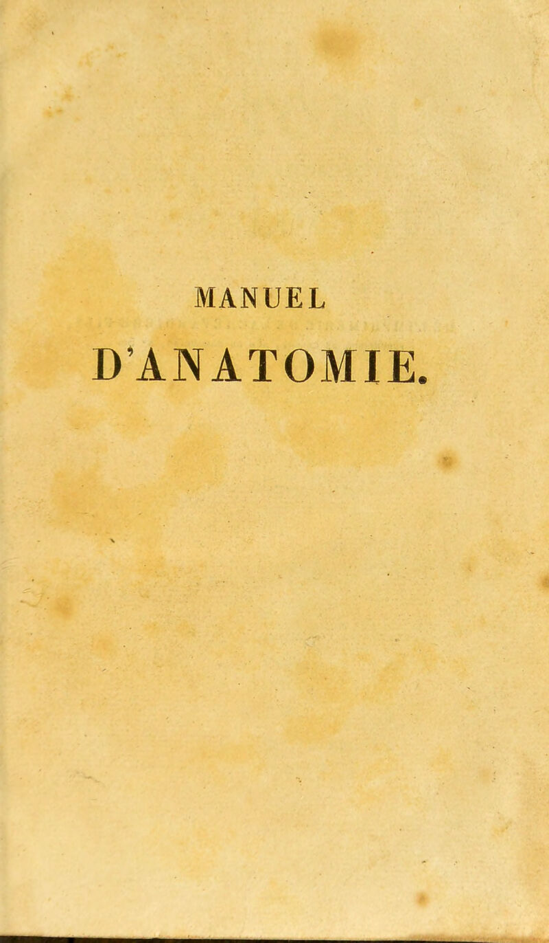 MANUEL D'ANATOMIE.