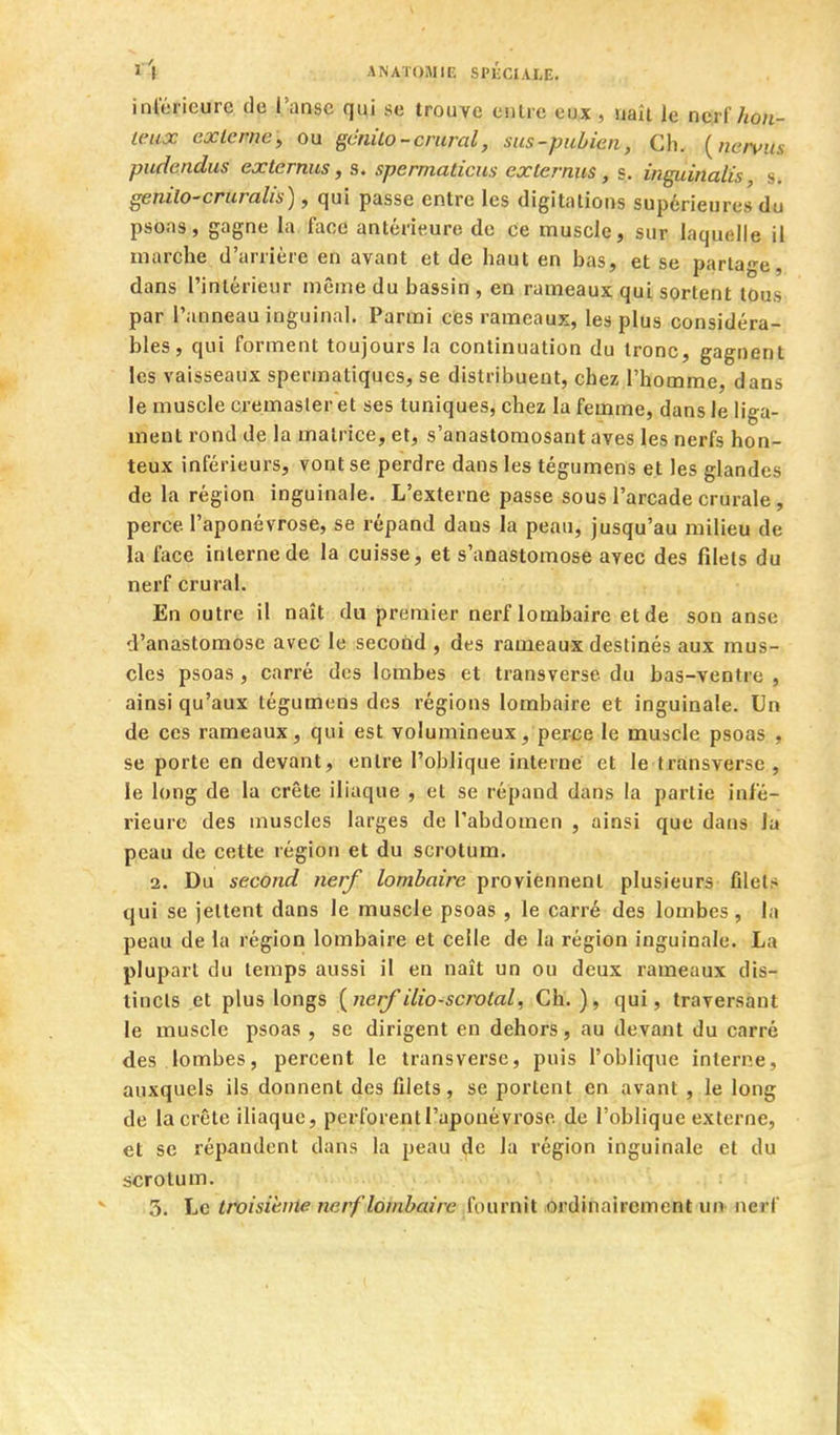 inférieure de l'anse qui se trouve entre eux , naît le nerf hon- leiiX externe), ou gcnùo - crural, sus-pubien, Ch. {nervus pudendus externus, s. spermaticus externus, s. inguinatis s. genilo-cruralis), qui passe entre les digitalions supérieures du psoas, gagne la face antérieure de ce muscle, sur laquelle il marche d'arrière en avant et de haut en bas, et se partage, dans l'intérieur même du bassin , en rameaux qui sortent tous par l'anneau inguinal. Parmi ces rameaux, les plus considéra- bles, qui forment toujours la continuation du tronc, gagnent les vaisseaux spermatiqucs, se distribuent, chez l'homme, dans le muscle cremaster et ses tuniques, chez la femme, dans le liga- ment rond de la matrice, et, s'anastomosaut aves les nerfs hon- teux inférieurs, vont se perdre dans les tégumens et les glandes de la région inguinale. L'externe passe sous l'arcade crurale, perce l'aponévrose, se répand dans la peau, jusqu'au milieu de la face interne de la cuisse, et s'anastomose avec des filets du nerf crural. En outre il naît du premier nerf lombaire et de son anse d'anastomose avec le second , des rameaux destinés aux mus- cles psoas , carré des lombes et transverse du bas-ventre , ainsi qu'aux tégumens des régions lombaire et inguinale. Un de ces rameaux, qui est volumineux, per-ce le muscle psoas , se porte en devant, entre l'oblique interne et le tfainsverse , le long de la crête iliaque , et se répand dans la partie infé- rieure des muscles larges de l'abdomen , ainsi que dans la peau de cette région et du scrotum. 2. Du second nerf lombaire proviennent plusieurs filets qui se jettent dans le muscle psoas , le carré des lombes, la peau de ia région lombaire et celle de la région inguinale. La plupart du temps aussi il en naît un ou deux rameaux dis- tincts et plus longs {nerf ilio-scrotal, Ch.), qui, traversant le muscle psoas , se dirigent en dehors, au devant du carré des lombes, percent le transverse, puis l'oblique interne, auxquels ils donnent des filets, se portent en avant , le long de la crête iliaque, perforent l'aponévrose de l'oblique externe, et se répandent dans la peau de la région inguinale et du scrotum. 3. Le troisiènie nerf lombaire fournit ordinairement un neri'