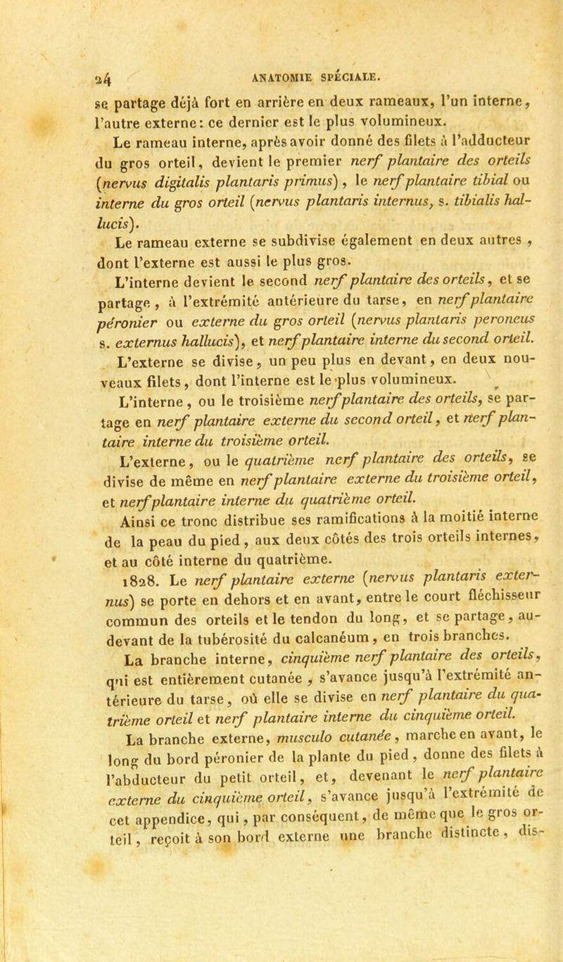 se partage déjà fort en arrière en deux rameaux, l'un interne, l'autre externe: ce dernier est le plus volumineux. Le rameau interne, après avoir donné des filets à l'adducteur du gros orteil, devient le premier nerf plantaire des orteils {nervus digitalis plantaris primus) , le n^rf plantaire tibial ou interne du gros orteil [nerms plantaris internas, s. tibialis hal- lucis). Le rameau externe se subdivise également en deux autres , dont l'externe est aussi le plus gros. L'interne devient le second nerf plantaire des orteils, et se partage, à l'extrémité antérieure du tarse, en nerf plantaire péronier ou externe du gros orteil {nerms plantaris peroneus s. externus hallucis), et nerf plantaire interne du second orteil. L'externe se divise, un peu plus en devant, en deux nou- veaux filets, dont l'interne est le-plus volumineux. L'interne , ou le troisième nerf plantaire des orteils, se par- tage en nerf plantaire externe du second orteil, et rterf plan- taire interne du troisième orteil. L'externe, ou le quatrième nerf plantaire des orteils, se divise de même en nerf plantaire externe du troisième orteil, et nerf plantaire interne du quatrième orteil. Ainsi ce tronc distribue ses ramifications à la moitié interne de la peau du pied , aux deux côtés des trois orteils internes, et au côté interne du quatrième. i8a8. Le nerf plantaire externe {nervus plantaris exter- nus) se porte en dehors et en avant, entre le court fléchisseur commun des orteils et le tendon du long, et se partage, au- devant de la tubérosité du calcanéura, en trois branches. La branche Interne, cinquième nerf plantaire des orteils, qui est entièrem.ent cutanée , s'avance jusqu'à l'extrémité an- térieure du tarse, où elle se divise en nerf plantaire du qua- trième orteil et nerf plantaire interne du cinquième orteil. La branche externe, musculo cutanée, marche en avant, le long du bord péronier de la plante du pied , donne des filets à l'abducteur du petit orteil, et, devenant le nerf plantaire externe du cinquième orteil, s'avance jusqu'à l'extrémité de cet appendice, qui, par conséquent, de même que le gros or- teil , reçoit à son bord externe une branche distincte, dis-