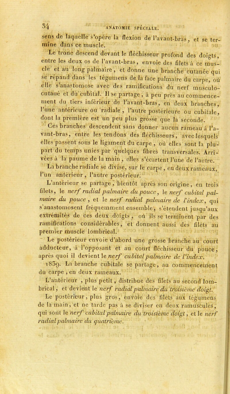 sens de laquelle s'opère la flexion de l'avant-bras, et se ter- mine dans ce muscle. li Le tronc descend devant le fléchisseur profond des doigts, entre les deux os de l'avant-bras, envoie des filets à ce mus- cle' et au long palmaire, et donne une branche cutanée qui sé'répdnd dans 'les tégumeris de la face palmaire du carpe, où elle s^anastomose avec des ramifications du nerf musculo- cutàué et dii cubital. Il se partage , à peu près au commence- ment du tiers inférieur de l'avant-bras, en deux branches, l'unti antérieure ou radiale, l'autre postérieure ou cubitale, dont la première est un peu plus grosse que la seconde. Ces branches descendent sans donner aucun rameau à l'a- vant-bras, entre les tendons des flédhisseurs, avec lesquels elles passent sous le ligament du carpe , où elles sont la plu- part du temps unies par quelques fibres transversales. Arri- vées à la paume de la main, elles s'écartent l'une de l'autre. La branche radiale se divise, sur le carpe, en deux rameaux, l'un antérieur, l'autre postérieur.'' ' ! L'antérieur se partage, bientôt après son'origine, en trois filets, le nerf radial palmaire du pouce, le nerf cubital pal- maire du pouce , et le nerf radial palmaire de Cindex, qui s'anastomosent fréquemment ensemble^, s'étendent jusqu'aux extrémités de ces deux doigts , oû ils se terminent par des ramifications considérables, et donnent aussi des filéts au premier musclé lombrical. :I■)!l!r)it;^•> jiioi-«-îq Le postérieur envoie d'abord une grosse branche aii 'court adducteur, à l'opposant et au court fléchisseur dli poucè'i après quoi il devient le ne// cubital palmaire de l'index. '■' 1839. La branche cubitale se partage, au commencement du carpe , en deux rameaux. L'antérieur , plus petit, distribue des filets au second lom- brical, et devient le nerf radial palmaire du 'tt^oisième doigt..' Le postérieur, plus gros, envoie des filets aux tégumeins de la main, et ne tarde pas à se diviser en deux ramusbuleS, qui sont le nerf' cubital palmaire du'troisième doigt, et le nerf radial palmaire du quatrième.