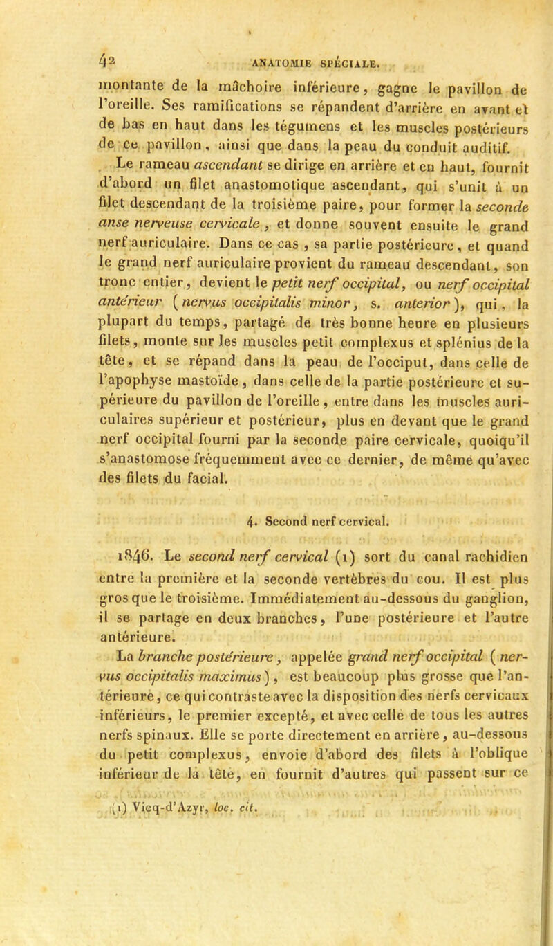 montante de la mâchoire inférieure, gagne le pavillon de l'oreille. Ses ramifications se répandent d'arrière en aTant b\ de bas en haut dans les tégumeos et les muscles postérieurs de ce pavillon, ainsi que dans la peau du conduit auditif. . Le rameau ascendant se dirige en arrière et eu haut, fournit d'abord un filet anastomotique ascendant, qui s'unit à un fiJet descendant de la troisième paire, pour former la seconde anse nerveuse cervicale , et donne souvent ensuite le grand nerf auriculaire. Dans ce cas , sa partie postérieure, et quand le grand nerf auriculaire provient du rameau descendant, son tronc entier, à&\'\Qni \q petit nerf occipital, o\i nerf occipital antérieur [nervus occipitalis minor, s. anterior), qui, la plupart du temps, partagé de très bonne heure en plusieurs filets, monte sur les muscles petit complexus et splénius de la tête, et se répand dans la peau de l'occiput, dans celle de l'apophyse mastoïde, dans celle de la partie postérieure et su- périeure du pavillon de l'oreille, entre dans les muscles auri- culaires supérieur et postérieur, plus en devant que le grand nerf occipital fourni par la seconde paire cervicale, quoiqu'il s'anastomose fréquemment avec ce dernier, de même qu'avec des filets du facial. 4. Second nerf cervical. 1846. Le second nerf cervical (1) sort du canal rachidien entre la première et la seconde vertèbres du cou. Il est plus gros que le troisième. Immédiatement au-dessous du ganglion, il se partage en deux branches, Tune postérieure et l'autre antérieure. La branche postérieure, appelée grand nerf occipital ( ner- vus occipitalis maximus) f est beaucoup plus grosse que l'an- térieure , ce qui contraste avec la disposition des nerfs cervicaux inférieurs, le premier excepté, et avec celle de tous les autres nerfs spinaux. Elle se porte directement en arrière, au-dessous du petit complexus, envoie d'abord des filets à l'oblique inférieur de là. tête, en fournit d'autres qui passent sur ce . .il,») Vieq-d'Azyr, loc. cit.