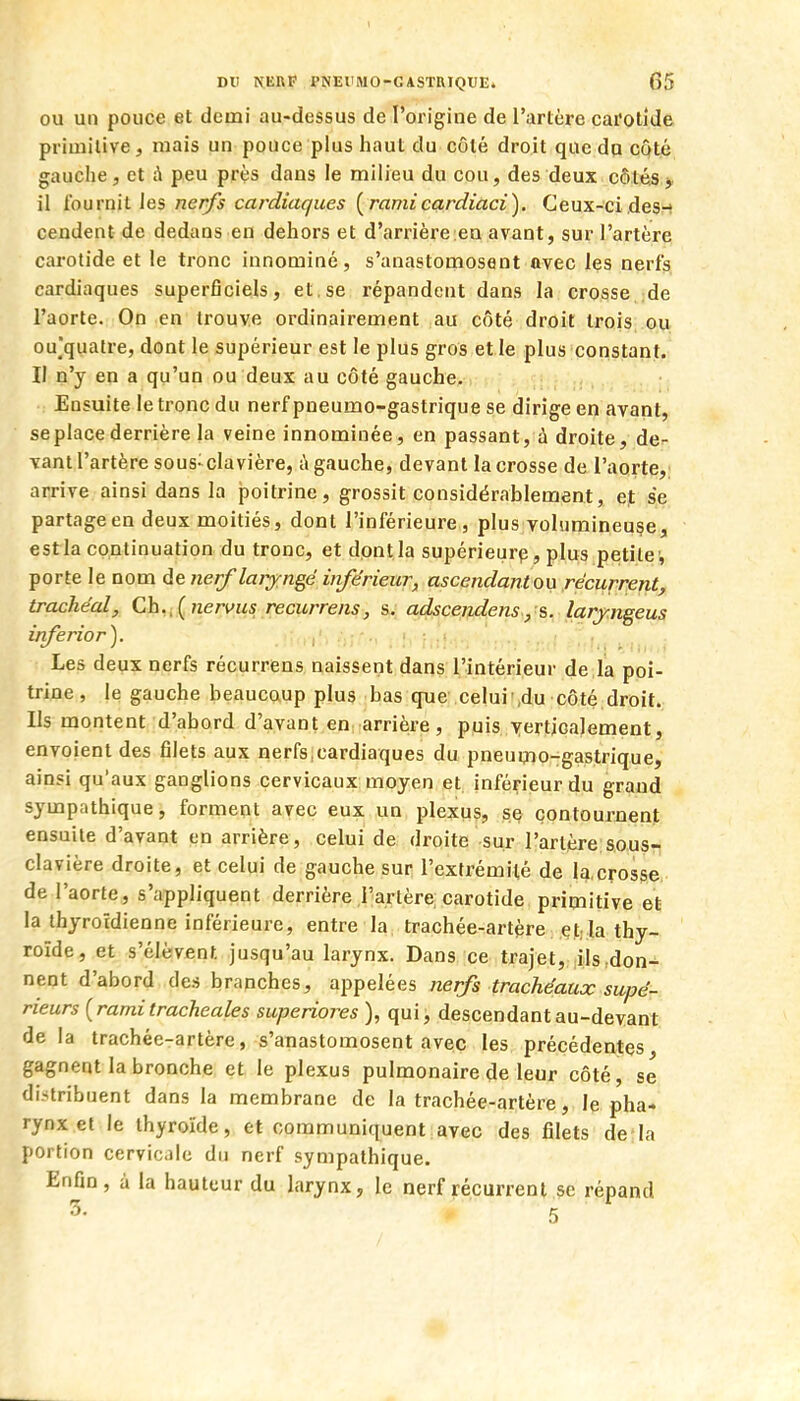 OU un pouce et demi au-dessus de l'origine de l'artère cai'otlde primitive, mais un pouce plus haut du côté droit que du côté gauche, et à peu près dans le milieu du cou, des deux côtés > il fournit les nerfs cardiaques {ramicardiaci). Ceux-ci des-) cendent de dedans en dehors et d'arrièreien avant, sur l'artère carotide et le tronc innominé, s'anastomosent ftvec les nerfs cardiaques superficiels, et.se répandent dans la crosse de l'aorte. On en trouve ordinairement au côté droit trois ou ou'qualre, dont le supérieur est le plus gros et le plus constant. Il n'y en a qu'un ou deux au côté gauche. ; t ; Ensuite le tronc du nerf pneumo-gastrique se dirige en avant, se place derrière la veine innominée, en passant, à droite, de- vant l'artère sous-clavière, à gauche, devant la crosse de l'aorte, arrive ainsi dans la poitrine, grossit considérablement, e,t se partage en deux moitiés, dont l'inférieure , plus volumineuse, estla continuation du tronc, et dont la supérieur^, plus petite', porte le nom de nerf laryngé inférieur, ascendantou récurrent, trachéal, Ch., ( nervus recurrens, s, adscendens, s. larjngeus inferior). .„•;., , «, hii.v. Les deux nerfs récurrens naissent dans l'intérieur de la poi- trine , le gauche beaucaup plus bas que celui ,du côté droit. Ils montent d'abord d'avant en; arrière, puis Yerticalement, envoient des filets aux nerfs,cardiaques du pneumo-gastrique, ainsi qu'aux ganglions cervicaux moyen et. inférieur du grand sympathique, forment avec eux un plexus, se contournent ensuite d'avant en arrière, celui de droite sur l'artère sous- clavière droite, et celui de gauche sur l'extrémité de la crosse de l'aorte, s'appliquent derrière l'artère; carotide primitive et la thyroïdienne inférieure, entre la trachée-artère et.Ia thy- roïde, et s'élèvent jusqu'au larynx. Dans ce trajet, ilsrdon- nent d'abord des branches, appelées nerfs trachéaux supé- rieurs {rami trachéales superiores ), qui, descendant au-devant de la trachée-artère, s'anastomosent avec les précédentes gagnent la bronche et le plexus pulmonaire de leur côté, se distribuent dans la membrane de la trachée-artère, le pha* rynx et le thyroïde, et communiquent,avec des filets de:la portion cervicale du nerf sympathique. Enfin, à la hauteur du larynx, le nerf récurrent se répand