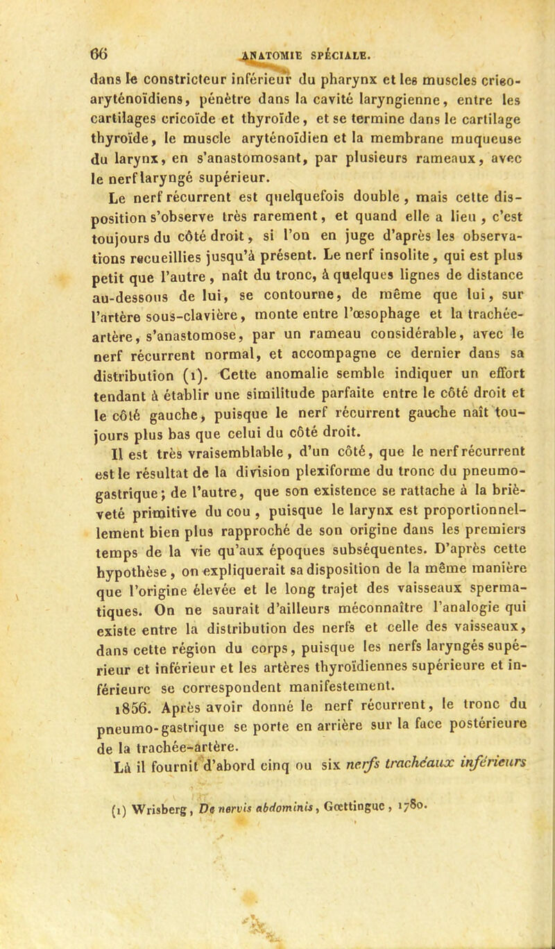 dans I« constricteur inférieur du pharynx et les muscles crieo- aryténoïdiens, pénètre dans la cavité laryngienne, entre les cartilages cricoïde et thyroïde, et se termine dans le cartilage thyroïde, le muscle aryténoïdien et la membrane muqueuse du larynx, en s'anastomosant, par plusieurs rameaux, avec le nerf laryngé supérieur. Le nerf récurrent est quelquefois double, mais celte dis- position s'observe très rarement, et quand elle a lieu , c'est toujours du côté droit, si l'on en juge d'après les observa- tions recueillies jusqu'à présent. Le nerf insolite, qui est plus petit que l'autre , naît du tronc, à quelques lignes de distance au-dessous de lui, se contourne, de même que lui, sur l'artère sous-clavière, monte entre l'œsophage et la trachée- artère, s'anastomose, par un rameau considérable, avec le nerf récurrent normal, et accompagne ce dernier dans sa distribution (i). Cette anomalie semble indiquer un effort tendant à établir une similitude parfaite entre le côté droit et le côlé gauche, puisque le nerf récurrent gauche naît tou- jours plus bas que celui du côté droit. Il est très vraisemblable, d'un côté, que le nerf récurrent est le résultat de la division plexiforme du tronc du pneumo- gastrique; de l'autre, que son existence se rattache à la briè- veté primitive du cou , puisque le larynx est proportionnel- lemfent bien plus rapproché de son origine dans les premiers temps de la vie qu'aux époques subséquentes. D'après cette hypothèse, on expliquerait sa disposition de la même manière que l'origine élevée et le long trajet des vaisseaux sperma- tiques. On ne saurait d'ailleurs méconnaître l'analogie qui existe entre la distribution des nerfs et celle des vaisseaux, dans cette région du corps, puisque les nerfs laryngés supé- rieur et inférieur et les artères thyroïdiennes supérieure et in- férieure se correspondent manifestement. i856. Après avoir donné le nerf récurrent, le tronc du pneumo-gastrique se porte en arrière sur la fuce postérieure de la trachée-artère. Là il fournil d'abord cinq ou six nerfs trachéaux inférieurs (i) Wrisberg, Dcnervis abdominU, Gtettîngue , 1780.