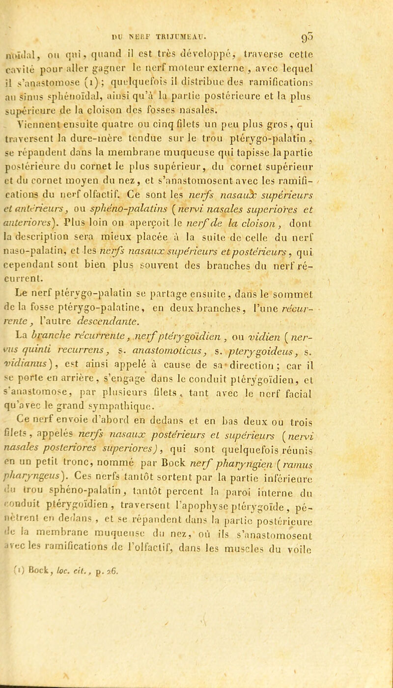 VV MiUF TUUrMUAV. iKi^ïtlal, OU qui, quand il est très développe, traverse cetle cavilé pour aller gagner le nerf moteur externe , avec lequel il s'anastomose (i) ; quelquefois il distribue des ramifications au sinus «pliéiioïdal, ainsi qu';\ la partie postérieure et la plus supérieure de la cloison des fosses nasales. Viennent ensuite quatre ou cinq filets un peu plus gros, qui traversent la dure-mère tendue sur le trou ptérygo-palatin , se répandent dans la membrane muqueuse qui tapisse la partie postérieure du cornet le plus supérieur, du cornet supérieur et du cornet moyen du nez, et s'anastomosent avec les ramifi- cations du nerf olfactif. Ce sont les neifs nasaiik supérieurs et anh-rieurs, an spliéno-palatins {nervi nasales superio'res et anteriores). Plus loin on aperçoit le nerf de la cloison, dont la description sera mieux placée à la suite de celle du nerf naso-palatin, et les nerfs nasaux supérieurs et postérieurs, qui cependant sont bien plus e-ourent des branches du nerf ré- current. Le nerf ptérygo-palatin se partage ensuite, dans le sommet de la fosse ptérygo-palatine, en deux branches, l'une recw- rente, l'autre descendante. La branche récurrente, nerf ptérygoïdien , ou vidien ( ner- vits quinti recurrens, s. anastomoticus, s. pterjgoideus, s. vidiamis), e?t ainsi appelé à cause de sa-direction ; car il se porte en arrière, s'engage dans le conduit ptérygoïdien, et s'anastomose, par plusieurs filets , tant avec le nerf facial qu'avec le grand sympathique. Ce nerf envoie d'abord en dedans et en bas deux ou trois filets, appelés nerfs nasaux postérieurs et supérieurs [ner^vi nasales posteriores superiores), qui sont quelquefois réunis en un petit tronc, nommé par Bock nerf pharyngien [minus pharyngeus). Ces nerfs tantôt sortent par la partie inférieure du Irou sphéno-palatin, tantôt percent la paroi interne du conduit ptérygoïdien, traversent l'apophyse plérvgoïde , pé- nètrent en dedans , et se répandent dans la partie postérieure de la membrane muqueuse du nez, où ils s'anastomosent avecles ramifications de l'olfactif, dans les muscles du voile