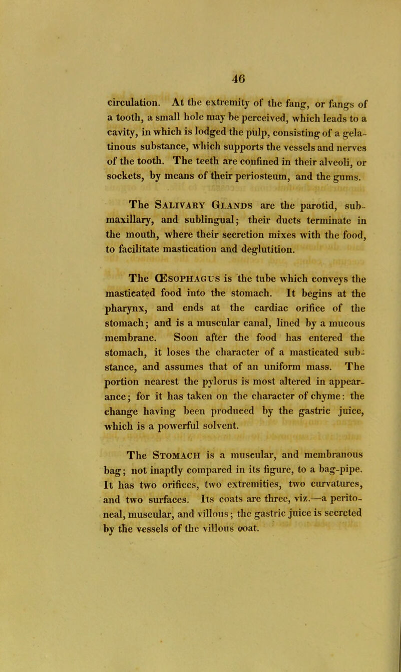 circulation. At the extremity of the fang-, or fangs of a tooth, a small hole may be perceived, which leads to a cavity, in which is lodged the pulp, consisting of a gela- tinous substance, which supports the vessels and nerves of the tooth. The teeth are confined in their alveoli, or sockets, by means of their periosteum, and the gums. The Salivary Glands are the parotid, sub- maxillary, and sublingual; their ducts terminate in the mouth, where their secretion mixes with the food, to facilitate mastication and deglutition. The CEsophagijs is the tube which conveys the masticated food into the stomach. It begins at the pharynx, and ends at the cardiac orifice of the stomach; and is a muscular canal, lined by a mucous membrane. Soon after the food has entered the stomach, it loses the character of a masticated sub- stance, and assumes that of an uniform mass. The portion nearest the pylorus is most altered in appear- ance ; for it has taken on the character of chyme: the change having been produced by the gastric juice, which is a powerful solvent. The Stomach is a muscular, and membranous bag; not inaptly compared in its figure, to a bag-pipe. It has two orifices, two exti-emities, two curvatures, and two surfaces. Its coats are three, viz.—a perito- neal, muscular, and villous; the gastric juice is secreted by the vessels of the villous ooat.