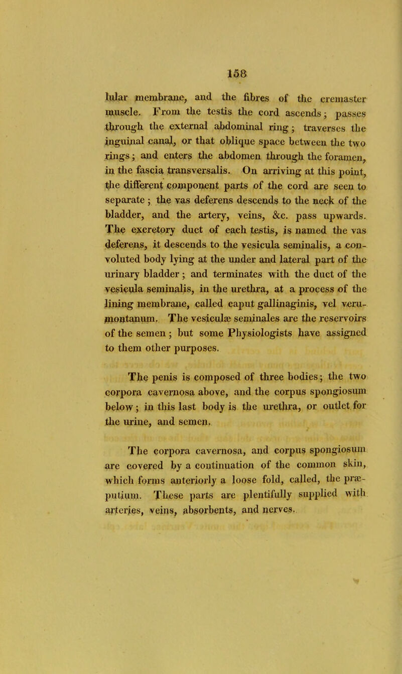 tiilar membrane, aud the fibres of the cremaster muscle. From the testis the cord ascends; passes through the external abdominal ring ; traverses the inguijial canaj, or that oblique space between the two rings; and enters the abdomen thiough the foramen, in the fascia transversalis. On arriving at tliis point, the different component parts of the cord are seen to separate ; the vas deferens descends to the neck of the bladder, and the artery, veins, &c. pass upwards. Thfi e^tcretory duct of each testis, is named the vas deferens, it descends to the vesicula seminalis, a con- voluted body lying at the imder and lateral part of the urinary bladder; and terminates with the duct of the vesicula seminalis, in the urethra, at a process of the lining membrane, called caput gallinaginis, vel veru- ^ontanum. The vesiculae seminales are the reservoirs of the semen; but some Physiologists have assigned to them other purposes. The penis is composed of three bodies; the two corpora cavernosa above, and the corpus spongiosum below; in this last body is the uretjira, or outlet for tlie urine, and semen. The corpora cavernosa, and corpus spongiosum are covered by a continuation of the common skin, which forms anteriorly a loose fold, called, the praj- putium. These paits are plentifully supplied with arteries, veins, absorbents, and nerves.