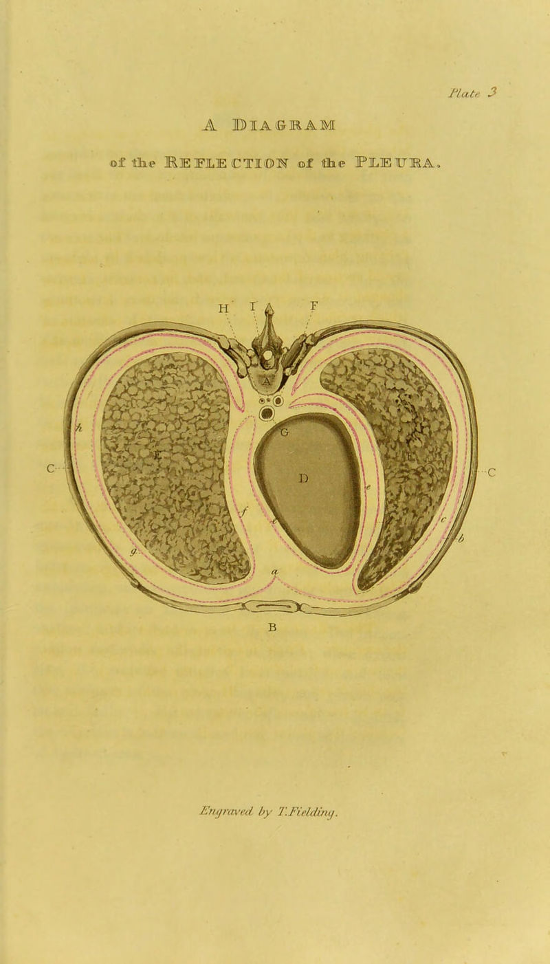 A ]D)IA©MAM of tlie BEFLECTIOW of iflie FlLElTBA, Engraved by I'.Fielduii/.
