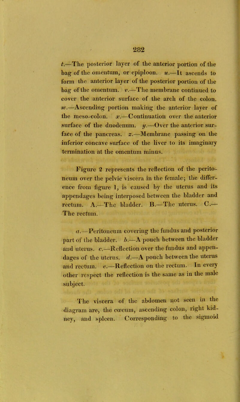 t.—The posterior layer of the anterior portion of the bag of the omentum, or epiploon, u.—It ascends to foiTO the anterior layer of the posterior portion of the bag- of the omentum, v.—The membrane continued to cover the anterior surface of the arch of the colon. TV.—Ascending portion making the anterior layer of the meso-'colon. x.—Contiiiuation over the anterior surface of the duodenum. ;//.—Over the anterior sur- face of the pancreas, z.—Membrane passing on the inferior concave surface of the liver to its imaginary termination at the omentum minus. Figure 2 represents the reflection of the perito- neum over the pelvic viscera in the female; the differ- ence from figui-e 1, is caused by the uterus and its appendages being interposed between the bladder and rectum. A.—The bladder. B.—The uterus. C.— The rectum. a.—Peritoneum covering the fundus and posterior part of the bladder. Z».—A pouch between the bladder and uterus, c.—Reflection over the fundus and appen- dages of the uterus, d.—A pouch between the utems and rectum, e.—Reflection on tlie rectum. In every other respect the reflection is the same as in the male subject. The viscera of the abdomen not seen in the diagram are, the ccecum, ascending colon, right kid- ney, and spleen. Corresponding to the sigmoid