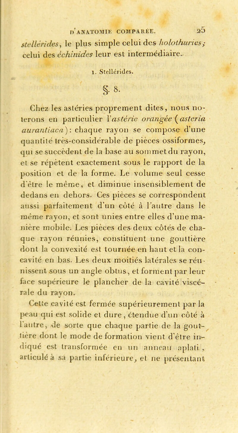 stc lié ri des, le plus simple celui des holothuries; celui des êchinides leur est intermédiaire- 1. Stellérides. §.8. Chez les astéries proprement dites, nous no- terons en particulier Y astérie orangée (asteria aurantiaca): chaque rayon se compose d'une quantité très-considérable de pièces ossiformes, qui se succèdent de la base au sommet du rayon, et se répètent exactement sous le rapport de la position et de la forme. Le volume seul cesse d'être le même, et diminue insensiblement de dedans en dehors. Ces pièces se correspondent aussi parfaitement d'un côté à l'autre dans le même rayon, et sont unies entre elles d'une ma- nière mobile. Les pièces des deux côtés de cha- que rayon réunies, constituent une gouttière dont la convexité est tournée en haut et la con- cavité en bas. Les deux moitiés latérales se réu- nissent sous un angle obtus, et forment par leur face supérieure le plancher de la cavité viscé- rale du rayon. Cette cavité est fermée supérieurement parla peau qui est solide et dure, étendue d'un côté à l'autre, de sorte que chaque partie de la gout-^ tière dont le mode de formation vient d'être in- diqué est transformée en un anneau aplati', articulé à sa partie inférieure, et ne présentant