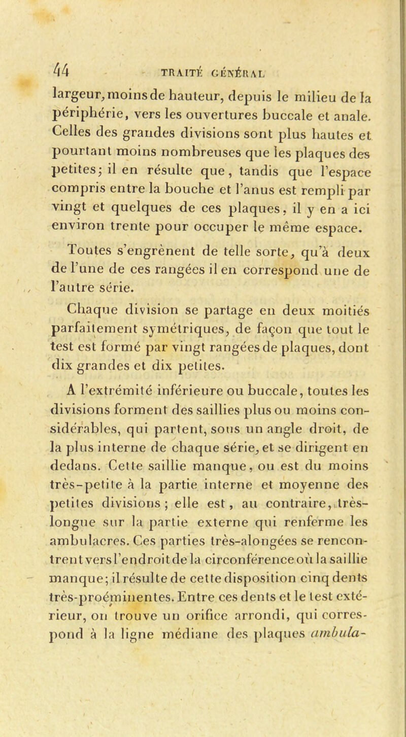 largeur, moins de hauteur, depuis le milieu de la périphérie, vers les ouvertures buccale et anale. Celles des grandes divisions sont plus hautes et pourtant moins nombreuses que les plaques des petites ; il en résulte que, tandis que l'espace compris entre la bouche et l'anus est rempli par vingt et quelques de ces plaques, il y en a ici environ trente pour occuper le même espace. Toutes s'engrènent de telle sorte, qu'à deux de l'une de ces rangées il en correspond une de l'autre série. Chaque division se partage eu deux moitiés parfaitement symétriques, de façon que tout le test est formé par vingt rangées de plaques, dont dix grandes et dix petites. A l'extrémité inférieure ou buccale, toutes les divisions forment des saillies plus ou moins con- sidérables, qui partent, sous un angle droit, de la plus interne de chaque série, et se dirigent en dedans. Cette saillie manque, ou est du moins très-petile à la partie interne et moyenne des petites divisions; elle est, au contraire,,très- longue sur la partie externe qui renferme les ambulacres. Ces parties très-alongées se rencon- trentversl'endroitdela circonférence où la saillie manque; il résulte de cette disposition cinq dents très-proéminentes. Entre ces dents et le lest exté- rieur, on trouve un orifice arrondi, qui corres- pond à la ligne médiane des plaques ambula-