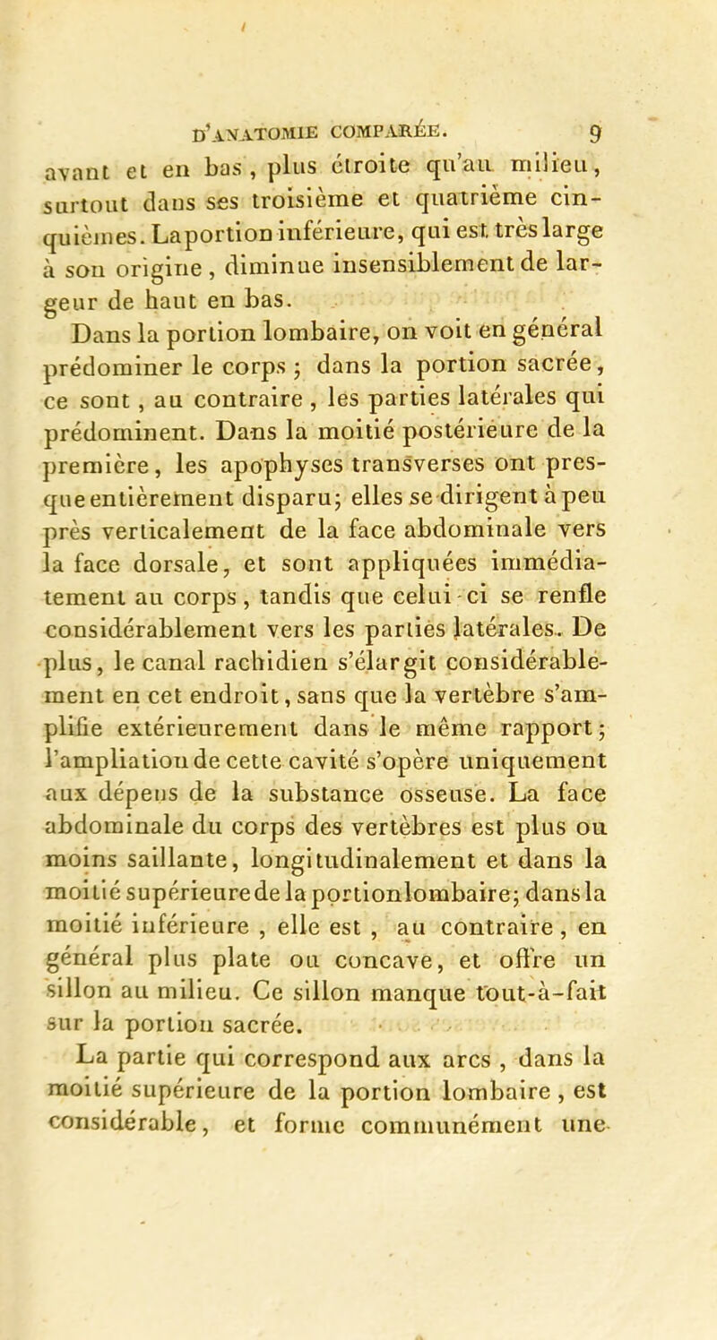 avant et en bas, plus étroite qu'au milieu, surtout dans ses troisième et quatrième cin- quièmes. Laportion inférieure, qui est très large à son origine , diminue insensiblement de lar- geur de haut en bas. Dans la portion lombaire, on voit en général prédominer le corps ; dans la portion sacrée, ce sont, au contraire , les parties latérales qui prédominent. Dans la moitié postérieure de la première, les apophyses transverses ont pres- que entièrement disparu; elles se dirigent à peu près verticalement de la face abdominale vers la face dorsale, et sont appliquées immédia- tement au corps, tandis que celui -ci se renfle considérablement vers les parties latérales. De ■plus, le canal racbidien s'élargit considérable- ment en cet endroit, sans que la vertèbre s'am- plifie extérieurement dans le même rapport; l'ampliatioude cette cavité s'opère uniquement ^ux dépens de la substance osseuse. La face abdominale du corps des vertèbres est plus ou. moins saillante, longltudinalement et dans la moi lié supérieure de la pprtionlombaire; dans la moitié inférieure , elle est , au contraire , en général plus plate ou concave, et offre un sillon au milieu. Ce sillon manque tout-à-fait sur la portion sacrée. La partie qui correspond aux arcs , dans la moitié supérieure de la portion lombaire , est considérable, et forme communément une