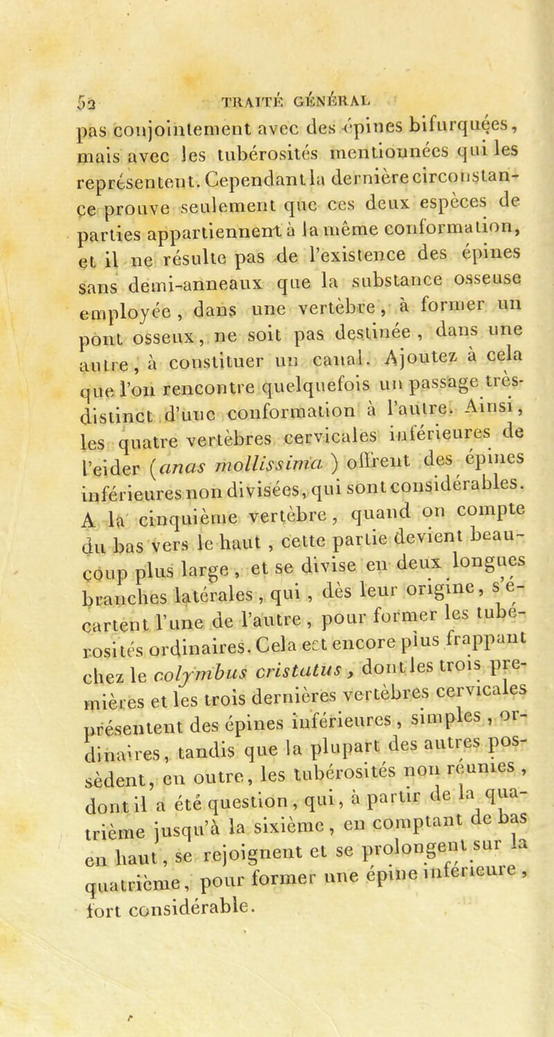 pas coujoinlement avec des épines bifurqiiées, mais avec les tubérosités mentionnées qui les représentent. Cependant la dernière circonstan- ce prouve seulement que ces deux espèces de parties appartiennent à la même conformation, et il ne résulte pas de l'existence des épines sans demi-anneaux que la substance osseuse employée, dans une vertèbre, à former un pont osseux, ne soit pas destinée, dans une autre, à constituer un canal. Ajoutez à cela que l'on rencontre quelquefois un passage très- distinct d'une conformation à l'autre. Ainsi, les quatre vertèbres cervicales inférieures de l'eider {anas mollissima ) oiFrent des épines inférieures non divisées, qui sontconsidérables. A la cinquième vertèbre, quand on compte du bas vers le haut , celte partie devient beau- coup plus large , et se divise en deux longues branches latérales , qui , dès leur origine, s e- cartent Tune de l'autre , pour former les tubé- rosités ordinaires. Cela ect encore plus frappant chez le colrmbus cristatus , dont les trois pre- mières et les trois dernières vertèbres cervicales présentent des épines inférieures , simples , or- dinaires, tandis que la plupart des autres pos- sèdent, en outre, les tubérosités non reunies , dont il a été question, qui, à partir de la qua- trième jusqu'à la sixième , en comptant de l^as en haut, se rejoignent et se prolongent sur la quatrième, pour former une épine inférieure , tort considérable.