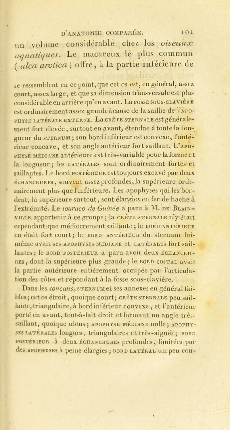 D AA'ÀTOjîllIi: CX>MPA11ÉE. 101 1111 volume considérable clicz les oiseaux a<jiuitii]ues. Le macareux le plus commun ( alca arctica ) offre, à la partie inférieure de se ressemblent en ce point, que cet os est, eu ge'néral, assez coart, assez large, et que sa dimension transversale est plus considérable en arrière qu'eu avant. La fosse sous-claviÈre est ordinairement assez grande àcause de la saillie de Fapo- PHYSE LATÉRALE EXTERNE. La CRETE STERNALE cst générale- ment fort élevée, surtout en avant, étendue à toute la lon- gueur du STERNUM j son bord inférieur estcouvexe, l'anté- rieur concave, et son angle antérieur fort saillant. L'j\po- PHYSE MEDIANE antérieure est Irès-variable pour la forme et la longueur; les latérales sont ordinairement fortes et saillantes. Le bord postérieur est toujours excavé par deux Échaxcrures, souvent assez profondes, la supérieure ordi- nairement plus que l'inférieure. Les apophyses qui les bor- dent, la supérieure surtout, sont élargies en fer de hache à l'extrémité. Le iouraco de Guinée a paru à M. de Blain- viLLE appartenir à ce groupe j la crÊte sternale n'y était cependant que médiocrement saillante ; le bord antérieur en était fort court j le bord antérieur du sternum lui- même avait ses apophyses médiane et la j érales fort sail- lantes; le bord postérieur a paru avoir deux échancru- REs, dont la supérieure plus grande; le bord costal avait la partie antérieure eutièrement occupée par l'articula- tion des côtes et répondant à la fosse sous-clavière. Dans les /o«/ca«5, sternum et ses annexes eu général fai- bles ; cet os étroit, quoique court; crÊte sternale peu sail- lante, triangulaire, à bord inférieur convexe, et l'antérieur porté eu avant, tout-à-fait droit et formant un angle très- saillant, quoique obtus; apophyse médiane nulle; apophy- ses latérales longues, triangulaires et très-aiguës; bord postérieur à deux échancrures profondes, limitées par