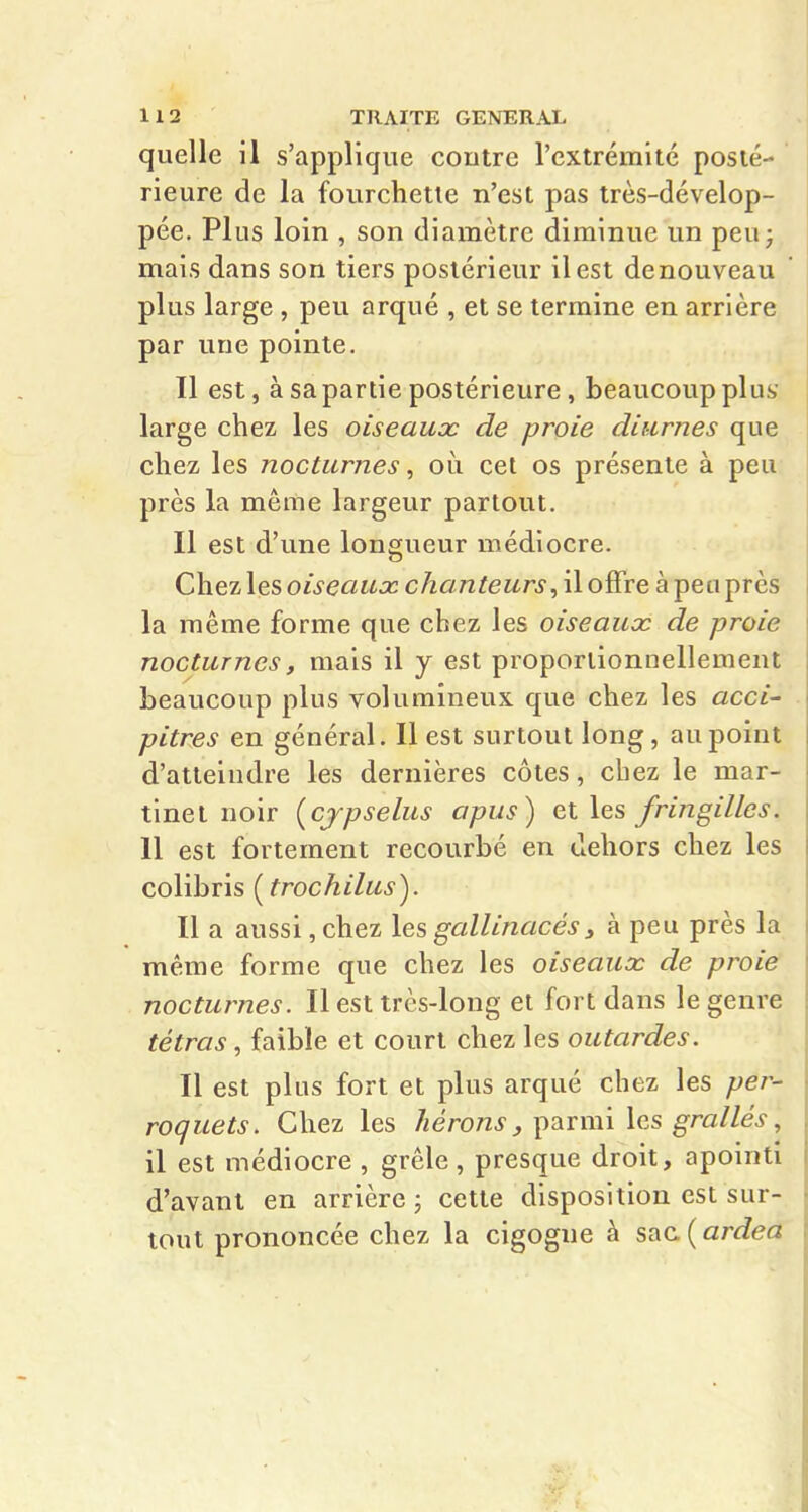 quelle il s'applique contre l'extrémité posté- rieure de la fourchette n'est pas très-dévelop- pée. Plus loin , son diamètre diminue un peu- mais dans son tiers postérieur il est denouveau plus large , peu arqué , et se termine en arrière par une pointe. Il est, à sa partie postérieure, beaucoup plus large chez les oiseaux de proie diurnes que chez les nocturnes, où cet os présente à peu près la môme largeur partout. Il est d'une longueur médiocre. Chez les oiseaux chanteurs, il offre à peu près la même forme que chez les oiseaux de proie nocturnes, mais il y est proportionnellement beaucoup plus volumineux que chez les acci- pitres en général. Il est surtout long, au point d'atteindre les dernières côtes, chez le mar- tinet noir (cjpselus apus) et les fringilles. 11 est fortement recourbé en dehors chez les colibris [trochilus). Il a aussi, chez les gallinacés, à peu près la même forme que chez les oiseaux de proie' nocturnes. Il est très-long et fort dans le genre tétras, faible et court chez les outardes. ' Il est plus fort et plus arqué chez les per- roquets. Chez les hérons y ])3iTmi les grallés, il est médiocre , grêle, presque droit, apointi d'avant en arrière; cette disposition est sur- tout prononcée chez la cigogne à sac. ( ardea