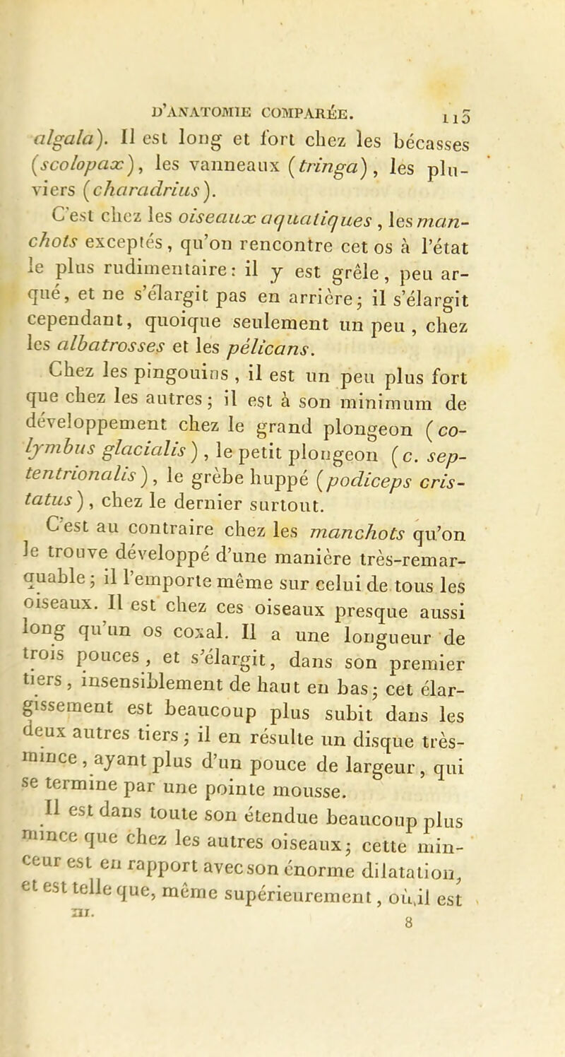 algala). II est long et fort chez les bécasses {scolopax), les vanneaux [tringa) ^ les plu- viers (^charadrias). C'est chez les oiseaux aquatiques , les man- chots exceptés, qu'on rencontre cet os à l'état le plus rudimentaire: il y est grêle, peu ar- qué, et ne s'élargit pas en arrière j il s'élargit cependant, quoique seulement un peu , chez les alhatrosses et les pélicans. Chez les pingouins , il est un peu plus fort que chez les autres; il est à son minimum de développement chez le grand plongeon (co- Ijnihus glacialis), le petit plongeon (c. sep- tentrionalis) , le grèbe huppé {podiceps cris- tatus), chez le dernier surtout. C'est au contraire chez les manchots qu'on le trouve développé d'une manière très-remar- quable ; il l'emporte même sur celui de tous les oiseaux. Il est chez ces oiseaux presque aussi long qu'un os cosal. Il a une longueur de trois pouces , et s^élargit, dans son premier tiers , insensiblement de haut en bas • cet élar- gissement est beaucoup plus subit dans les deux autres tiers ■ il en résulte un disque très- miDce, ayant plus d'un pouce de largeur, qui se termine par une pointe mousse. Il est dans toute son étendue beaucoup plus nimce que chez les autres oiseaux- cette min- ceur est en rapport avec son énorme dilatation, et est telle que, môme supérieurement, où.il est 8