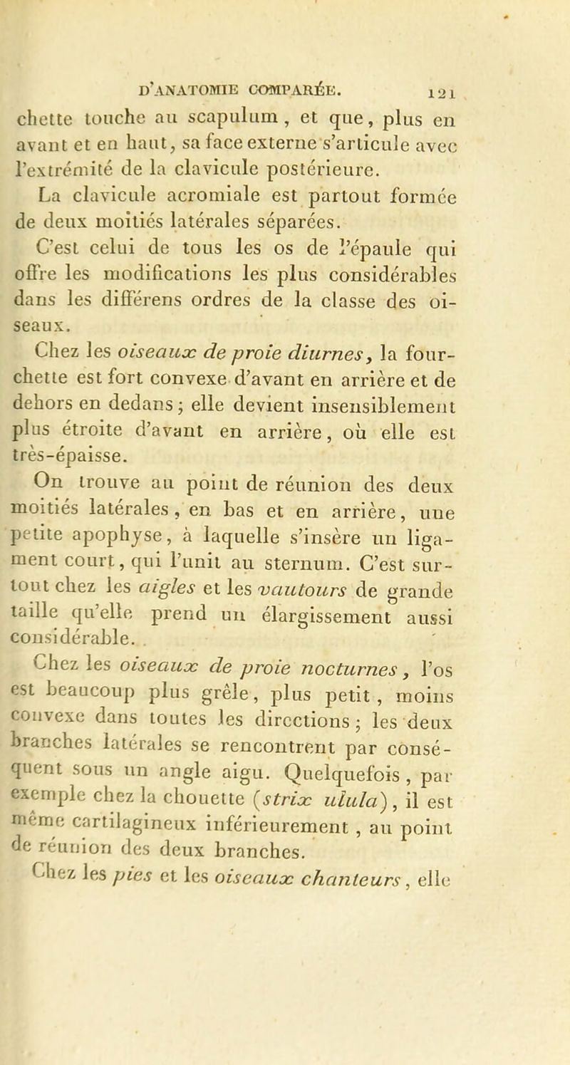 chette touche au scapulum, et que, plus en avant et en haut, sa face externe s'articule avec l'extrémité de la clavicule postérieure. La clavicule acromiale est partout formée (le deux moitiés latérales séparées. C'est celui de tous les os de l'épaule qui offre les modifications les plus considérables dans les différens ordres de la classe des oi- seaux. Chez les oiseaux de proie diurnes, la four- chette est fort convexe d'avant en arrière et de dehors en dedans ; elle devient insensiblement plus étroite d'avant en arrière, où elle est très-épaisse. On trouve au point de réunion des deux moitiés latérales, en bas et en arrière, une petite apophyse, à laquelle s'insère un liga- ment court, qui l'unit au sternum. C'est sur- tout chez les aigles et les vautours de grande taille qu'elle prend un élargissement aussi considérable. Chez les oiseaux de proie nocturnes, l'os est beaucoup plus grêle, plus petit, moins convexe dans toutes les directions; les deux branches latérales se rencontrent par consé- quent sous un angle aigu. Quelquefois , par exemple chez la chouette {strix ulula) , il est même cartilagineux inférieurement , au point de réunion des deux branches. Chez les pies et les oiseaux chanteurs, elle