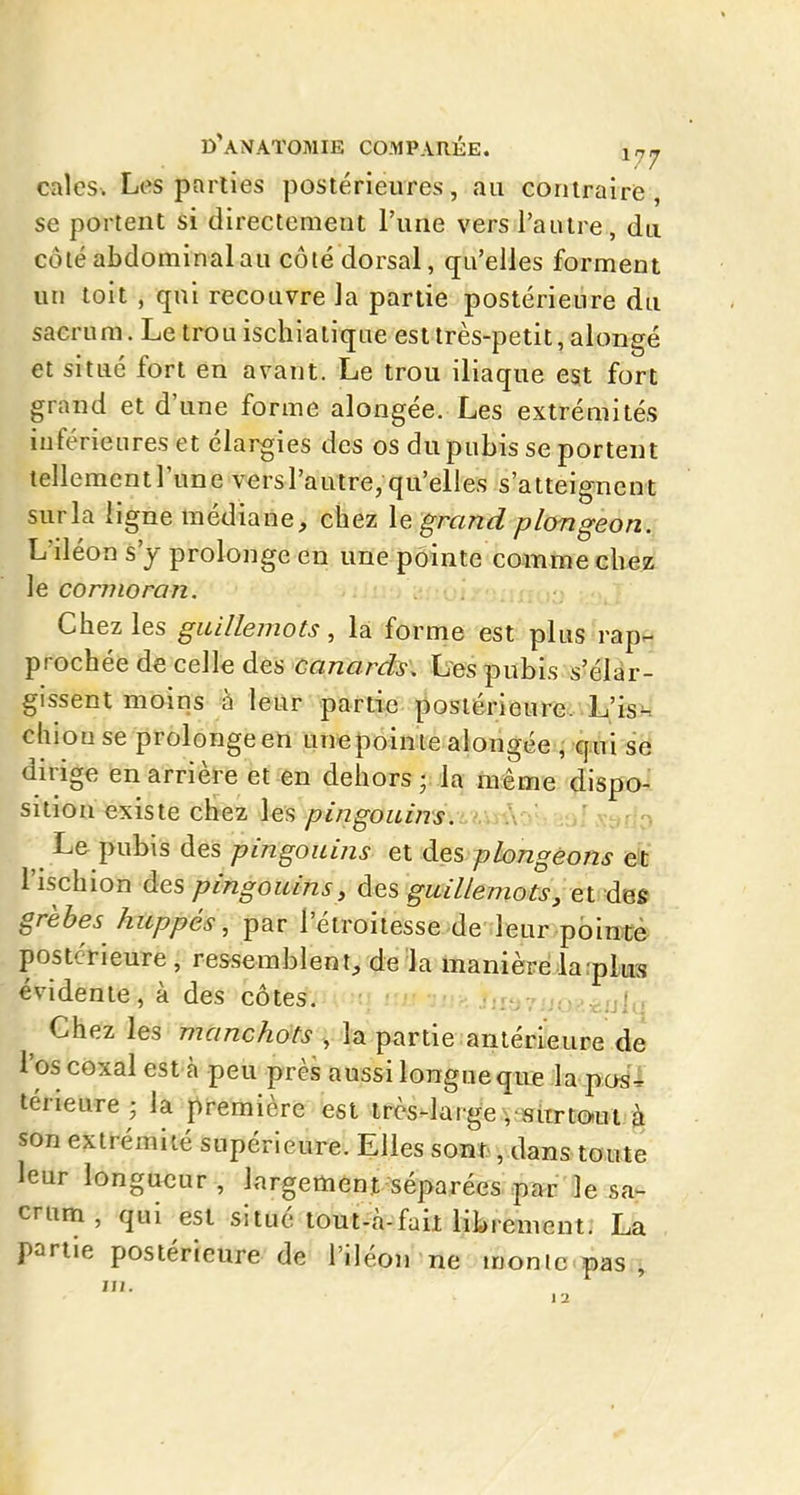 cales. Les parties postérieures, au contraire , se portent si directement l'une vers l'autre, du côté abdominal au côté dorsal, qu'elles forment un toit , qui recouvre la partie postérieure du sacrum. Le trou ischiatique est très-petit, alongé et situé fort en avant. Le trou iliaque est fort grand et d'une forme alongée. Les extrémités inférieures et élai^ies des os du pubis se portent tellement l'une vers l'autre, qu'elles s'atteignent sur la ligne médiane, chez le grand plongeon.^ L'iléon s'y prolonge en une pointe comme cliez le cormoran. Chez les guillemots, la forme est plus rap.- prochée de celle des canards\ Les pubis s'élar- gissent moins a leur partie postérieure. L'isM chiou se prolonge en unepoin te alongée , qui se dirige en arrière et en dehors la même dispo- sition existe chez les pingouins. Ao'Vriof \e»rio L& pubis des pingouins et des plongeons 6t l'ischion des pingouins, des guillemots, ei des grèbes huppés, par l'étroitesse de leur pointé postérieure, ressemblent, de la manière la rplus évidente, à des côtes. aie, ui- ^ Chez les manchots , la p<artie antérieure de l'os coxal est à peu près aussi longue que la pos^ térieure; la première est ircs-lai ge ,-8urto>ut à son extrémité supérieure. Elles sont-, dans toute leur longueur, largement séparées par le sa- crum , qui est situé tout-à-fait librement: La partie postérieure de l'iléon ne monlc pas ,