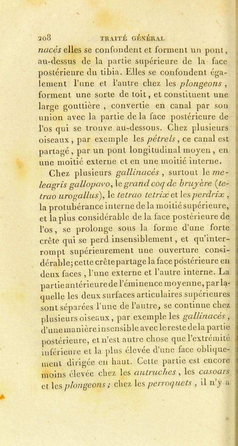 nacés elles se confondent et forment un pont, au-dessus de la partie supérieure de la face postérieure du tibia. Elles se confondent éga- lement l'une et l'autre chez les plongeons , forment une sorte de toit, et constituent une large gouttière , convertie en canal par sou union avec la partie de la face postérieure de l'os qui se trouve au-dessous. Chez plusieurs oiseaux, par exemple les pétrels, ce canal est partagé , par un pont longitudinal moyen, en une moitié externe et en une moitié interne. Chez plusieurs gallinacés, surtout \eme- leagris gallopaço, \c grand coq de brujère {te- trao urogallus), le tetrao tetriocçX les perdrix , la prolulDérance interne de la moitié supérieure, et la plus considérable de la face postérieure de l'os, se prolonge sous la forme d'une forte crête qui se perd insensiblement, et qu'inter- rompt supérieurement nue ouverture consi- dérable; cette crête partage la face postérieure eu deux faces , l'une externe et l'autre interne. La parlieantérieurede l'éminence moyenne, paria- quelle les deux surfaces articulaires supérieures sont séparées l'une de l'autre, se continue chez plusieurs oiseaux, par exemple les gallinacés, d'une manière insensible avec le reste delà partie postérieure, et n'est autre chose que l'extrémité inférieure et la plus élevée d'une face oblique- ment dirigée en haut. Cette partie est encore moins élevée chez les autruches, les casoars et les plongeons; chez les perroquets , il n'y a