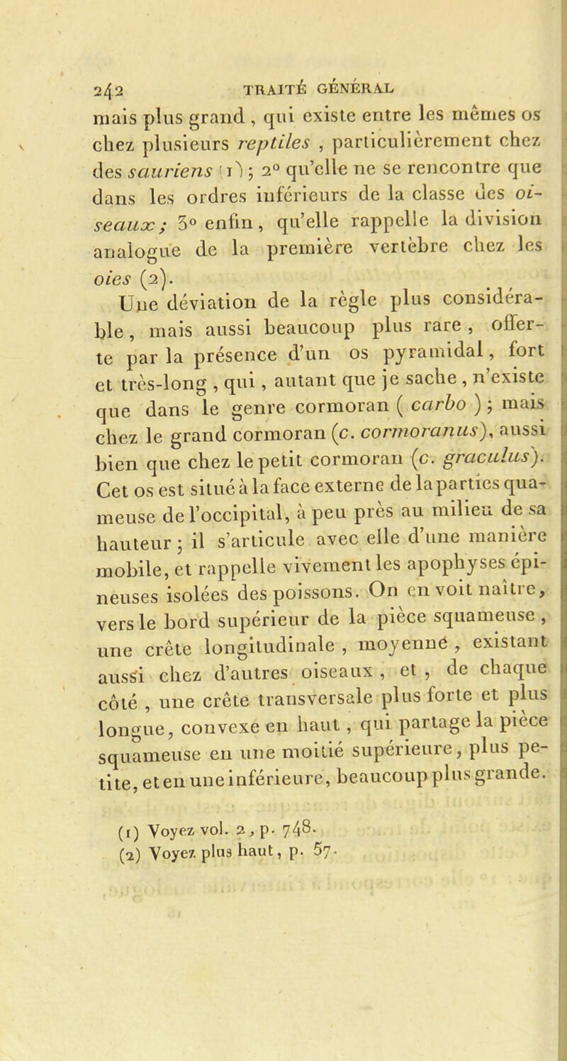 niais plus grand , qui existe entre les mêmes os chez plusieurs reptiles , particulièrement chez des sauriens ; 2° qu'elle ne se rencontre que dans les ordres inférieurs de la classe des oi- seaux; 5« enfin, qu'elle rappelle la division analogue de la première vertèbre chez les oies (2). _ ^ ^ Uue déviation de la règle plus considéra- ble , mais aussi beaucoup plus rare, offer- te par la présence d'un os pyramidal, fort et très-long , qui, autant que je sache , n'existe que dans le genre cormoran ( carbo ) ; mais chez le grand cormoran (c. cormoranus), aussi bien que chez le petit cormoran (c. graculus). Cet os est situé à la face externe de la parties qua- meuse de l'occipital, à peu près au milieu de sa hauteur ; il s'articule avec elle d'une manière mobile, et rappelle vivement les apophyses épi- neuses isolées des poissons. On en voit naître, vers le bord supérieur de la pièce squameuse , une crête longitudinale , moyenne , existant aussi chez d'autres oiseaux , et, de chaque côté , une crête transversale plus forte et plus longue, convexe en haut , qui partage la pièce squameuse en une moitié supérieure, plus pe- tite, et en une inférieure, beaucoup plus grande. (i) Voyez vol. 2^ p. 748- (a) Voye7. plas haut, p. Sy.