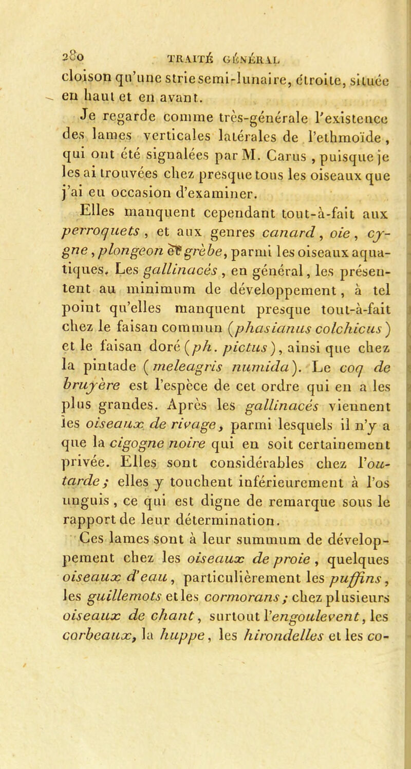 cloison qu'une striesemi-liinaire, clroile, shuée eu liaui et en avant. Je regarde comme très-générale Texistencc des lames verticales latérales de l'ethmoïde , qui ont été signalées par M. Carus , puisque je les ai trouvées chez presque tous les oiseaux que j'ai eu occasion d'examiner. Elles manquent cependant tout-à-fait aux perroquets , et aux genres canard, oie, cj- gne, plongeon eVgrèbe, parmi les oiseaux aqua- tiques. Les gallinacés , en général, les présen- tent au minimum de développement, à tel point qu'elles manquent presque tout-à-fait chez le faisan commun (phasianus colchicus) et le faisan doré (ph. pictus), ainsi que chez la pintade {meleagris nuniida). Le coq de bruy ère est l'espèce de cet ordre qui en a les plus grandes. Après les gallinacés viennent les oiseaux de rivage y parmi lesquels il n'y a que \à cigogne noire qui en soit certainement privée. Elles sont considérables chez Vou- tarde ; elles y touchent inférieurement à l'os unguis , ce qui est digne de remarque sous le rapport de leur détermination. Ces lames sont à leur summum de dévelop- pement chez les oiseaux de proie , quelques oiseaux d'eau, particulièrement les puffins, les guillemots cormomAZi'/chez plusieurs oiseaux de chant, sniloniVengoulevent ,\es corbeaux, la huppe, les hirondelles et les co-