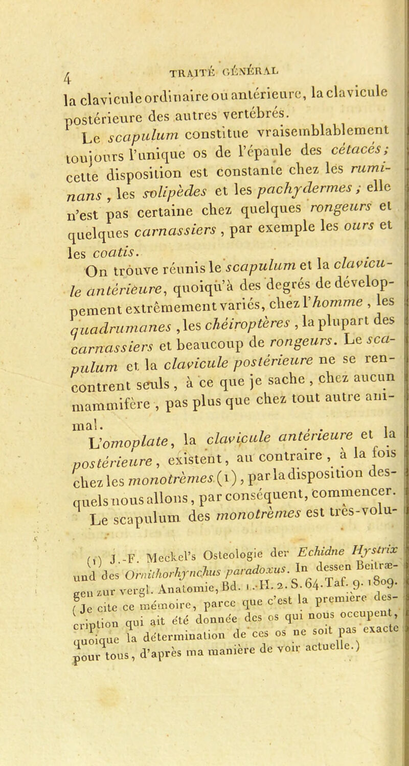 la clavicule ordinaire OU anlérieurc, la clavicule postérieure des autres vertébrés. Le scapulum constitue vraisemblablement louiours l'unique os de l'épaule des cétacés; cette disposition est constante chez les rumi- nans , les ^Upèdes et les pachydermes ; elle n'est pas certaine chez quelques rondeurs ei quelques carnassiers , par exemple les ours et les coatis. , , • On trouve réunis le scapulum et la clavicu- le antérieure, quoiqii'à des degrés de dévelop- pement extrêmement variés, chez rAomme , les quadrumanes ,les chéiroptères , la plupart des carnassiers et beaucoup de rongeurs. Le sca- pulum et la clavicule postérieure ne se ren- contrent seuls , à ce que je sache , chez aucun mammifère , pas plus que chez tout autre ani- Vomoplate, la clavicule antérieure et la postérieure, existent, au contraire , à la ois chez les monotrèmes.{x), parla disposition des- quels nous allons, par conséquent, commencer. Le scapulum des monotrèmes est tres-volu- J -F Meckel's Osteologie der Echidne Hjstrix geazur vergl. Analomie,Bd. . .-II. 2. S b4.Taf. g- '809. f J cxle ce ?.émou-e, parce que c'est la première de - Lipl on qu. .it été donnée des os qui nous occupen aaoLe la détermination de ces os ne soit pas exacte pourrons, d'après ma manière de voir actuelle.)