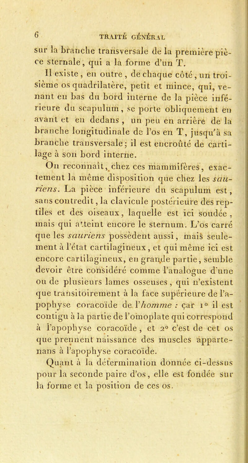 sur la branche transversale de la première piè- ce sternale, qui a la forme d'un T. Il existe , en outre , de chaque côté, un troi- sième os quadrilatère, petit et mince, qui, ve- nant eu Las du bord interne de la pièce infé- rieure du scapulum, se porte obliquement eu avant et en dedans , un peu en arrière de la branche longitudinale de l'os en T, jusqu'à sa branche transversale j il est encroûté de CArti- lage à son bord interne. On reconnaît, chez ces mammifères, exac- tement la même disposition que chez les sau- riens. La pièce inférieure du scapulum est, sans contredit, la clavicule postérieure des rep- tiles et des oiseaux, laquelle est ici soudée , mais qui atteint encore le sternum. L'os carré que les sauriens possèdent aussi, mais seule- ment à l'état cartilagineux, et qui même ici est encore cartilagineux, en gran.de partie, semble devoir être considéré comme l'analogue d'une ou de plusieurs lames osseuses , qui n'existent que transitoirement à la face supérieure de l'a- pophyse coracoïde de Vhomme : çar i» il est contigu à la partie de l'oinoplate qui correspond à i'ajîophyse coracoïde , et 2° c'est de cet os que prennent naissance des muscles apparte- nans à l'apophyse coracoïde. Quant à la déterminalion donnée ci-dessus pour la seconde paire d'os, elle est fondée sur la forme et la position de ces os.