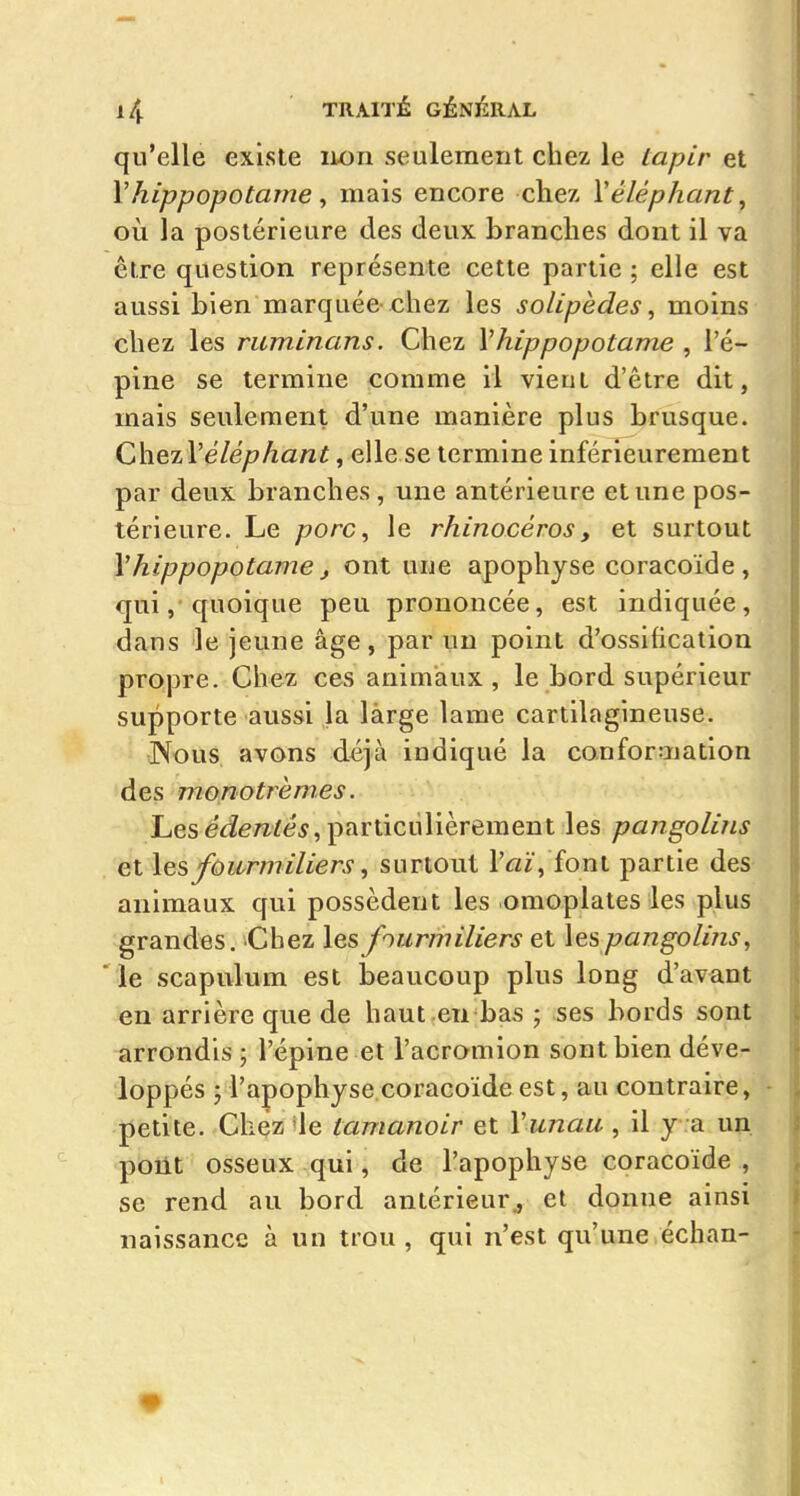 qu'elle existe non seulement chez le Lapir et Vhippopotame ^ mais encore chez \éléphant^ où la postérieure des deux branches dont il va être question représente cette partie ; elle est aussi bien marquée-chez les solipèdes, moins chez les ruminans. Chez \hippopotame , l'é- pine se termine comme il vient d'être dit, mais seulement d'une manière plus brusque. QAx^q.'lMéléphant, elle se termine inférieurement par deux branches, une antérieure et une pos- térieure. Le porc^ le rhinocéros, et surtout \hippopotame ^ ont une apophyse coracoïde, qui,'quoique peu prononcée, est indiquée, dans le jeune âge, par un point d'ossification propre. Chez ces animaux, le bord supérieur supporte aussi la làrge lame cartilagineuse. Nous avons déjà indiqué la conformation des monotrem.es. Les édeniés, particulièrement les pangolins et les fourmiliers, surtout l'aï, font partie des animaux qui possèdent les omoplates les plus grandes. Chez les fourmiliers et \es pangolins, le scapulum est beaucoup plus long d'avant en arrière que de haut en bas ; ses bords sont arrondis; l'épine et l'acromion sont bien déve- loppés ; l'apophyse coracoïde est, au contraire, - petite. Chez'le tamanoir et Vunau, il y .a uu. poùt osseux qui, de l'apophyse coracoïde , se rend au bord antérieur^ et donne ainsi naissance à un trou , qui n'est qu'une échan-