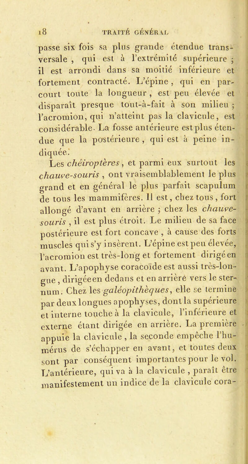 passe six fois sa pins grande étendue trans- versale , qui est à l'extrémité supérieure ; il est arrondi dans sa moitié inférieure et fortement contracté. L'épine, qui en par- court toute la longueur , est peu élevée et disparaît presque tout-à-fait à son milieu ; l'acromion, qui n'atteint pas la clavicule, est considérable- La fosse antérieure estplus éten- due que la postérieure, qui est à peine in- diquée. Les chéiroptères, et parmi eux surtout les chauve-souris , ont vraisemblablement le plus grand et en général le plus parfait scapulum de tous les mammifères. H est, chez tous, fort allongé d'avant en arrière j chez les chauve- souris , il est plus étroit. Le milieu de sa face postérieure est fort concave , à cause des forts muscles qui s'y insèrent. L'épine est peu élevée, l'acromion est très-long et fortement dirigé en avant. L'apophyse coracoïde est aussi très-lon- gue , dirigée en dedans et en arriéré vers le ster- num. Chez les galéopithèques, elle se termine par deux longues apophyses, dont la supérieure et interne touche à la clavicule, l'inférieure et externe étant dirigée en arrière. La première appuie la clavicule , la seconde empêche l'hu- mérus de s'échapper en avant, et toutes deux sont par conséquent importantes pour le vol. L'antérieure, qui va à la clavicule , paraît être manifestement un indice de la clavicule cora-