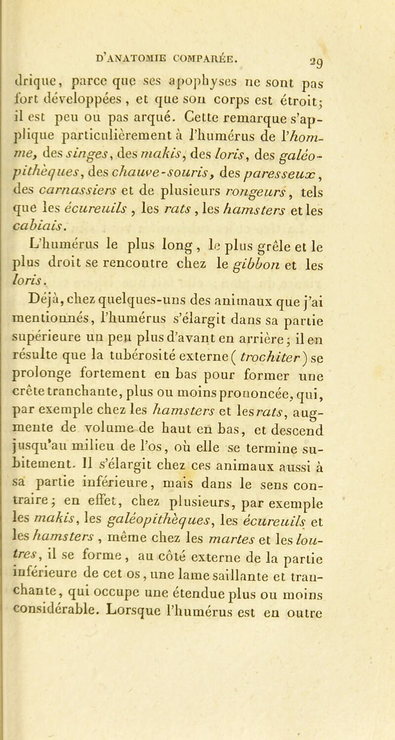 driqiie, parce que ses apophyses ne sont pas fort développées, et que son corps est étroit; il est peu ou pas arqué. Cette remarque s'ap- plique particulièrement à l'humérus de l'hom- me, des singes, des makis, des loris, des galéo- pithèqiies, des chauve-souris, des paresseux, des carnassiers et de plusieurs rongeurs, tels que les écureuils , les rats, les hamsters et les ca biais. L'humérus le plus long , le plus grêle et le plus droit se rencontre chez le gibbon et les loris. Déjà, cliez quelques-uns des animaux que j'ai mentionnés, l'humérus s'élargit dans sa partie supérieure un peu plus d'avant en arrière; il en résulte que la tubérosité externe{ trochiter) se prolonge fortement en bas pour former une crête tranchante, plus ou moins prononcée, qui, par exemple chez les hamsters et les rats, aug- mente de volume de haut en bas, et descend jusqu'au milieu de l'os, oii elle se termine su- bitement. Il s'élargit chez ces animaux aussi à sa partie inférieure, mais dans le sens con- traire; en effet, chez plusieurs, par exemple les makis, les galéopithèques, les écureuils et les hamsters , même chez les martes et les /ow- \res,\l se forme , au côté externe de la partie inférieure de cet os, une lame saillante et tran- chante, qui occupe une étendue plus ou moins considérable. Lorsque l'humérus est en outre