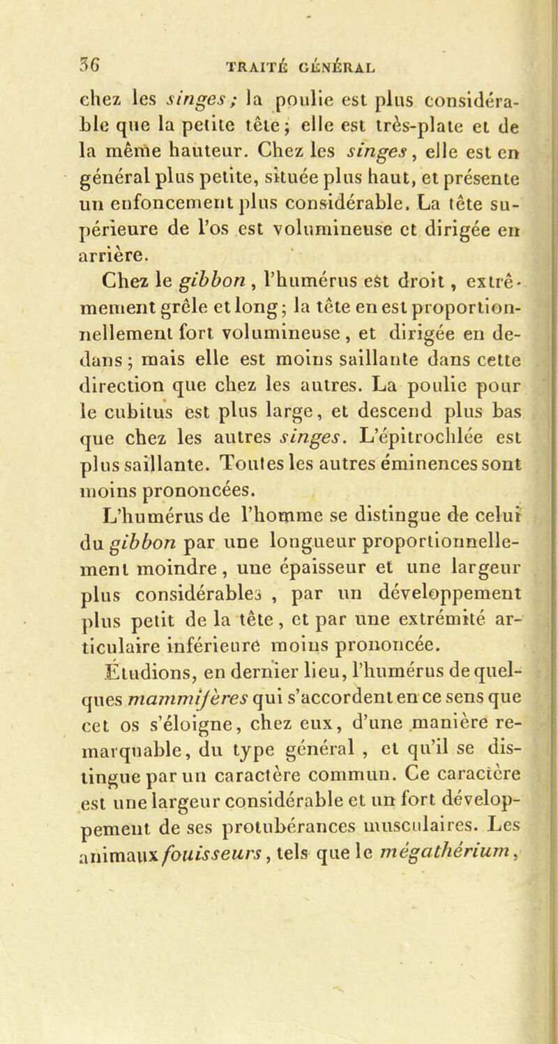 chez les singes ; la poulie est plus considéra- ble que la petite tête; elle est très-plate et de la mêïïie hauteur. Chez les singes ^ elle est en général plus petite, située plus haut, et présente un enfoncement plus considérable. La tête su- périeure de l'os est volumineuse et dirigée en arrière. Chez le gibbon , l'humérus eât droit, extrê- mement grêle et long; la tête en est proportion- nellement fort volumineuse, et dirigée en de- dans; mais elle est moins saillante dans cette direction que chez les autres. La poulie pour le cubitus est plus large, et descend plus bas que chez les autres singes. L'épitroclilée est plus saillante. Toutes les autres éminences sont moins prononcées. L'humérus de l'homme se distingue de celui gibbon par une longueur proportionnelle- ment moindre, une épaisseur et une largeur plus considérables , par un développement plus petit de la tête, et par une extrémité ar- ticulaire inférieure moins prononcée. Étudions, en dernier lieu, l'humérus de quel- ques mammijeres qui s'accordent en ce sens que cet os s'éloigne, chez eux, d'une manière re- marquable, du type général , et qu'il se dis- lingue par un caractère commun. Ce caractère est une largeur considérable et un fort dévelop- pement de ses protubérances musculaires. Les animaux fouisseurs, tels que le mégathérium,