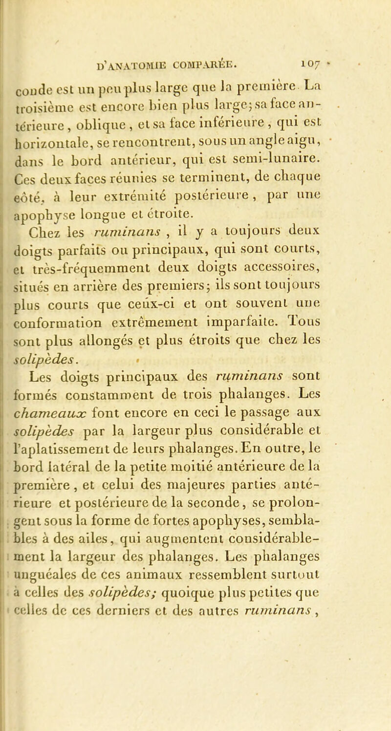 coude est un peuplas large que Ja première. La ï troisième est encore bien plus large; sa face an- térieure , oblique , et sa face inférieure , qui est horizontale, se rencontrent, sous un angle aigu, • dans le bord antérieur, qui est semi-lunaire. Ces deux faces réunies se terminent, de chaque eoté, à leur extrémité postérieure , par une apophyse longue et étroite. Chez les ruminans , il y a toujours deux doigts parfaits ou principaux, qui sont courts, et très-fréquemment deux doigts accessoires, situés en arrière des premiers; ils sont toujours plus courts que ceux-ci et ont souvent une conformation extrêmement imparfaite. Tous sont plus allongés et plus étroits que chez les solipèdes. > Les doigts principaux des ruminans sont formés constamment de trois phalanges. Les chameaux font encore en ceci le passage aux solipèdes par la largeur plus considérable et l'aplatissement de leurs phalanges. En outre, le . bord latéral de la petite moitié antérieure de la première , et celui des majeures parties anté- : rieure et postérieure de la seconde, se prolon- ; gent sous la forme de fortes apophyses, sembla- i bles à des ailes, qui augmentent considérable- li ment la largeur des phalanges. Les phalanges Il unguéales de ces animaux ressemblent surtout \i à celles des solipèdes; quoique plus petites que l< celles de ces derniers et des autres ruminans ,