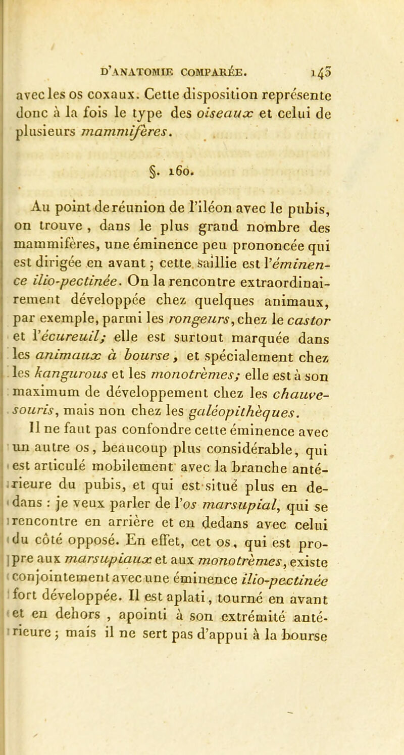 avec les os coxaux. Celle disposillon représente donc à la fois le type des oiseaux et celui de plusieurs mammifères. §. 160. Au point de réunion de l'iléon avec le pubis, on trouve , dans le plus grand nombre des mammifères, une éminence peu prononcée qui est dirigée en avant ; cette saillie est Vémînen- ce iliO'pectinée. On la rencontre extraordinai- rement développée chez quelques animaux, par exemple, parmi les rongeurs^chez le castor • et Vécureuil; elle est surlout marquée dans les animaux à bourse, et spécialement chez . les kangurous et les monotremes; elle est à son : maximum de développement chez les chauve- . souris, mais non chez les galéopithèques. Il ne faut pas confondre cette éminence avec 5un autre os, beaucoup plus considérable, qui lest articulé raobilement avec la branche anté- ixieure du pubis, et qui est situé plus en de- (dans : je veux parler de Vos marsupial, qui se 1 rencontre en arrière et en dedans avec celui «du côté opposé. En effet, cet os, qui est pro- jpre aux marsupiaux et aux monotremes, existe (Conjointement avec une éminence ilio-pectinée Ifort développée. Il est aplati, tourne en avant <et en dehors , apointi à son extrémité anté- irieure ; mais il ne sert pas d'appui à la bourse