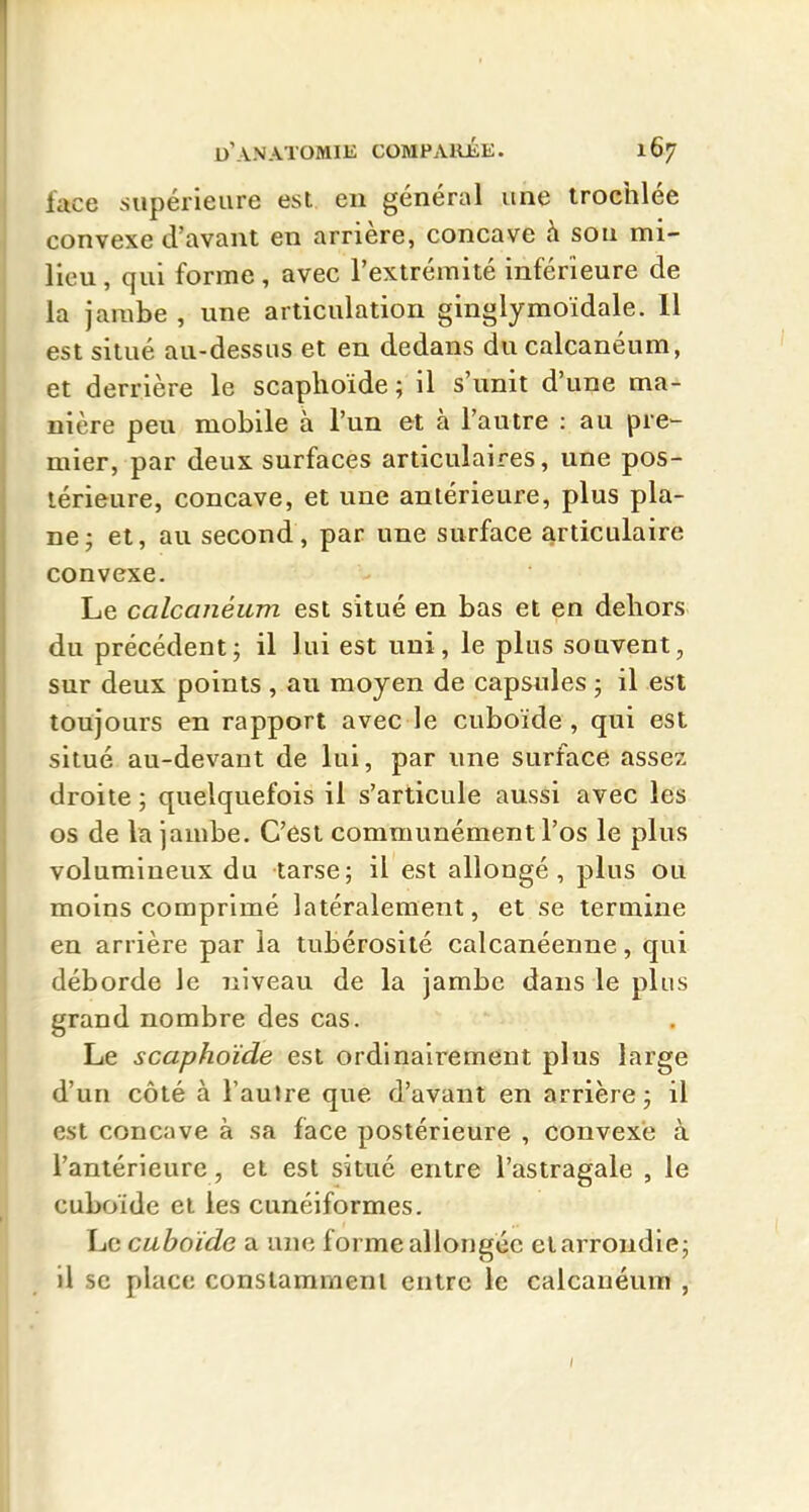 lace supérieure est en général une irochlée convexe d'avant en arrière, concave à sou mi- lieu , qui forme, avec l'extrémité inférieure de la jambe , une articulation ginglymoidale. 11 est situé au-dessus et en dedans du calcanéum, et derrière le scaplioïde ; il s'unit d'une ma- nière peu mobile à l'un et à l'autre : au pre- mier, par deux surfaces articulaires, une pos- térieure, concave, et une antérieure, plus pla- ne; et, au second, par une surface articulaire convexe. Le calcanéum est situé en bas et en deliors du précédent; il lui est uni, le plus souvent, sur deux points , au moyen de capsules ; il est toujours en rapport avec le cuboïde , qui est situé au-devant de lui, par une surface assez droite ; quelquefois il s'articule aussi avec les os de la jambe. C'est communément l'os le plus volumineux du tarse; il est allongé, plus ou moins comprimé latéralement, et se termine en arrière par la tubérosité calcanéenne, qui déborde le liiveau de la jambe dans le plus grand nombre des cas. Le scaphoïde est ordinairement plus large d'un côté à l'aulre que d'avant en arrière ; il est concave à sa face postérieure , convexe à l'antérieure, et est situé entre l'astragale , le cuboïde ei les cunéiformes. Le cuboïde a une forme allongée elarroudie; il se place constamment entre le calcanéum ,