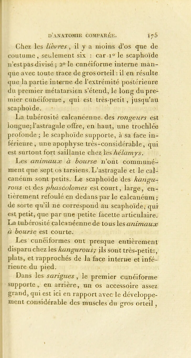 Chez les lièvres, il y a moins d'os que de coutume, seulement six : car i» le scaphoïde ii'estpas divisé 5 2° le cunéiforme interne man- que avec toute trace de gros orteil : il en résulte que la partie interne de l'extrémité postérieure du premier métatarsien s'étend, le long du pre- mier cunéiforme , qui est Irès-petit , jusqu'au scaphoïde. La tubérosité calcanéenne. des rongeurs est longuejl'astragale offre, en haut, une troclilée profonde ; le scaphoïde supporte, à sa face in- férieure , une apophyse très-considérable, qui est surtout fort saillante chez l'es hélamjs. Les animaucc à bourse n'ont communé- ment que sept os tarsiens. L'astragale et le cal- canéum sont petits. Le scaphoïde des kangu- rous et des phascolomes est court, large, en- tièrement refoulé en dedans par le calcanéum • de sorte qu'il ne correspond au scaphoïde, qui est petit, que par une petite facette articulaire. La tubérosité calcanéenne de tous \qs animaux fi bourse est courte. Les cunéiformes ont presque entièrement disparu chez les kangurous; ils sont très-petits, plats, et rapprochés de la face interne et infé- rieure du pied. Dans les sarigues, le premier Cunéiforme supporte, en arrière, un os accessoire assez grand, qui est ici en rapport avec le développe- ment considérable des muscles du gros orteil.