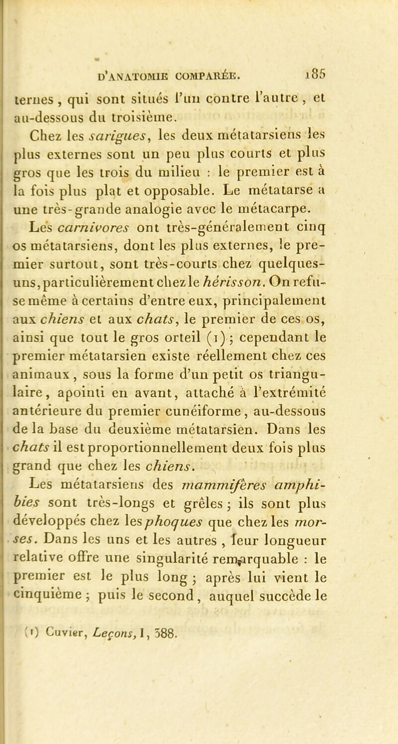 lerues , qui sont situés l'iiii contre l'autre, et au-dessous du troisième. ' Chez les sarigues^ les deux métatarsiens les plus externes sont un peu plus courts et plus gros que les trois du milieu : le premier est à la fois plus plat et opposable. Le métatarse a une très-grande analogie avec le métacarpe. Les carnivores ont très-généralement cinq os métatarsiens, dont les plus externes, le pre- mier surtout, sont très-courts chez quelques- uns, particulièrement chez le hérisson. On refu- se même à certains d'entre eux, principalement aux chiens et aux chats^ le premier de ces os, ainsi que tout le gros orteil (i) ; cependant le premier métatarsien existe réellement chez ces animaux , sous la forme d'un petit os triangu- laire, apoinii en avant, attaché à l'extrémité antérieure du premier cunéiforme , au-dessous de la base du deuxième métatarsien. Dans les . chats il est proportionnellement deux fois plus ; grand que chez les chiens. Les métatarsiens des mammifères amphi- bies sont très-longs et grêles ; ils sont plus développés chez les phoques que chez les mor- oses. Dans les uns et les autres , leur longueur relative offre une singularité remarquable : le premier est le plus long ; après lui vient le ' cinquième ; puis le second , auquel succède le (i) Cuvier, Leçons, \^ 588.