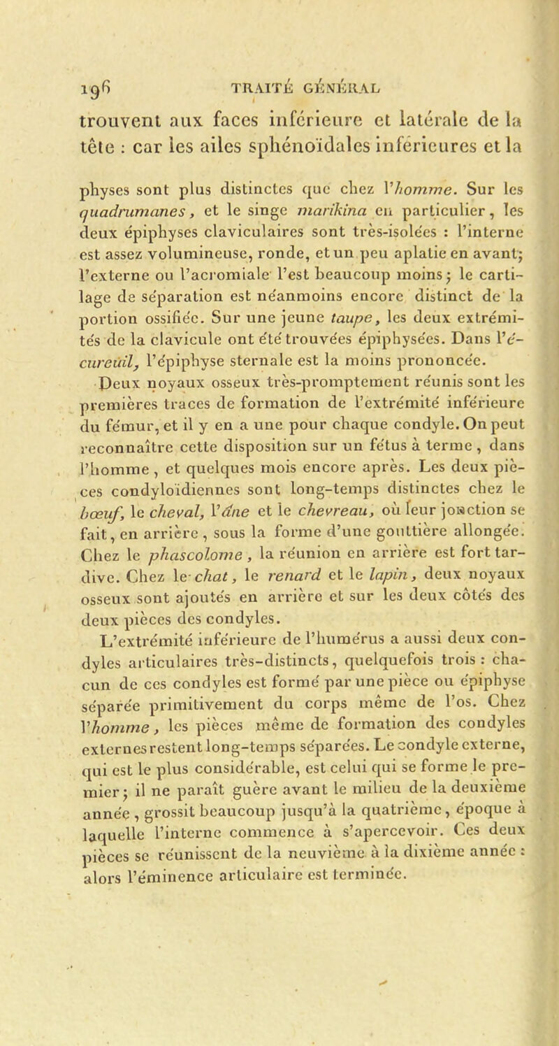 trouvent aux faces inférieure et latérale de la tête ; car les ailes sphénoïdales inférieures et la pliyses sont plus distiactes que chez Vhomme. Sur les quadrumanes, et le singe viarikina eu particulier, les deux épiphyses claviculaires sont très-isole'es : l'interne est assez volumineuse, ronde, et un peu aplatie en avant; l'externe ou l'aciomiale l'est beaucoup moins; le carti- lage de se'paration est ne'anmoins encore distinct de la portion ossifie'c. Sur une jeune taupe, les deux extrémi- te's de la clavicule ont e'te'trouve'es épiphyse'es. Dans Vé- cureùil, l'epiphyse sternale est la moins prononce'e. Peux noyaux osseux très-promptement re'unis sont les premières traces de formation de l'extrémité inférieure du fémur, et il y en a une pour chaque condyle. On peut reconnaître cette disposition sur un fétus à terme , dans riiomme , et quelques mois encore après. Les deux piè- ces condyloïdiennes sont long-temps distinctes chez le bœuf, le cheval, Vdne et le chevreau, où feur jonction se fait, en arrière , sous la forme d'une gouttière allongée. Chez le phascolome , la réunion en arrière est fort tar- dive. Chez le-chat, le renard et le lapin, deux noyaux osseux sont ajoutés en arrière et sur les deux côtés des deux pièces des condyles. L'extrémité inférieure de l'humérus a aussi deux con- dyles articulaires très-distincts, quelquefois trois : cha- cun de ces condyles est formé par une pièce ou épiphyse séparée primitivement du corps même de l'os. Chez Vhoinme, les pièces même de formation des condyles externes restent long-temps séparées. Le condyle externe, qui est le plus considérable, est celui qui se forme le pre- mier; il ne paraît guère avant le milieu de la deuxième année , grossit beaucoup jusqu'à la quatrième, époque à laquelle l'interne commence à s'apercevoir. Ces deux pièces se réunissent de la neuvième à la dixième année : alors l'éminence articulaire est terminée.