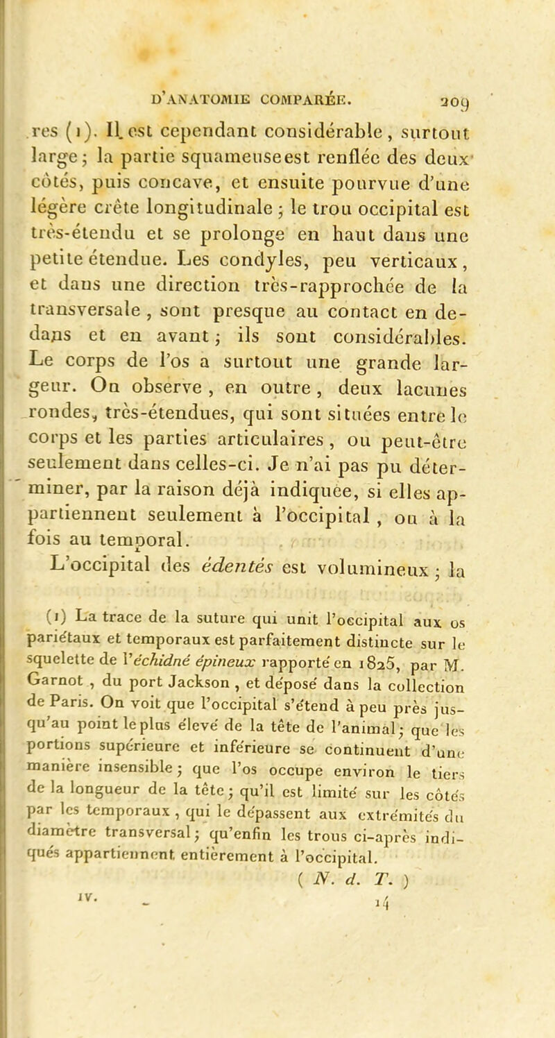 res (1). II.est cependant considérable, surtout large ; la partie squameuse est renflée des deux- côtés, puis concave, et ensuite pourvue d'une légère crête longitudinale ; le trou occipital est très-étendu et se prolonge en haut dans une petite étendue. Les condyles, peu verticaux, et dans une direction très-rapprochée de ia transversale , sont presque au contact en de- dans et en avant ; ils sont considérables. Le corps de l'os a surtout une grande lar- geur. On observe , en outre, deux lacunes rondes, très-étendues, qui sont situées entre le corps et les parties articulaires , ou peut-être seulement dans celles-ci. Je n'ai pas pu déter- miner, par la raison déjà indiquée, si elles ap- partiennent seulement à l'occipital, ou à la fois au temooral. L'occipital des édentés est volumineux ; la (i) La trace de la suture qui unit l'occipital aux os panëtaux et temporaux est parfaitement distincte sur le squelette de Véchidné épineux rapporte en iSaô, par M. Garnot , du port Jackson , et déposé dans la collection de Paris. On voit que l'occipital s'étend à peu près jus- qu'au point leplns élevé de la tête de l'animal; que les portions supérieure et inférieure se continuent d'une manière insensible j que l'os occupe environ le tiers de la longueur de la tête; qu'il est limité sur les côtés par les temporaux , qui le dépassent aux extrémités du diamèire transversal; qu'enfin les trous ci-après indi- qués appartiennent entièrement à l'occipital. ( N. d. T. )