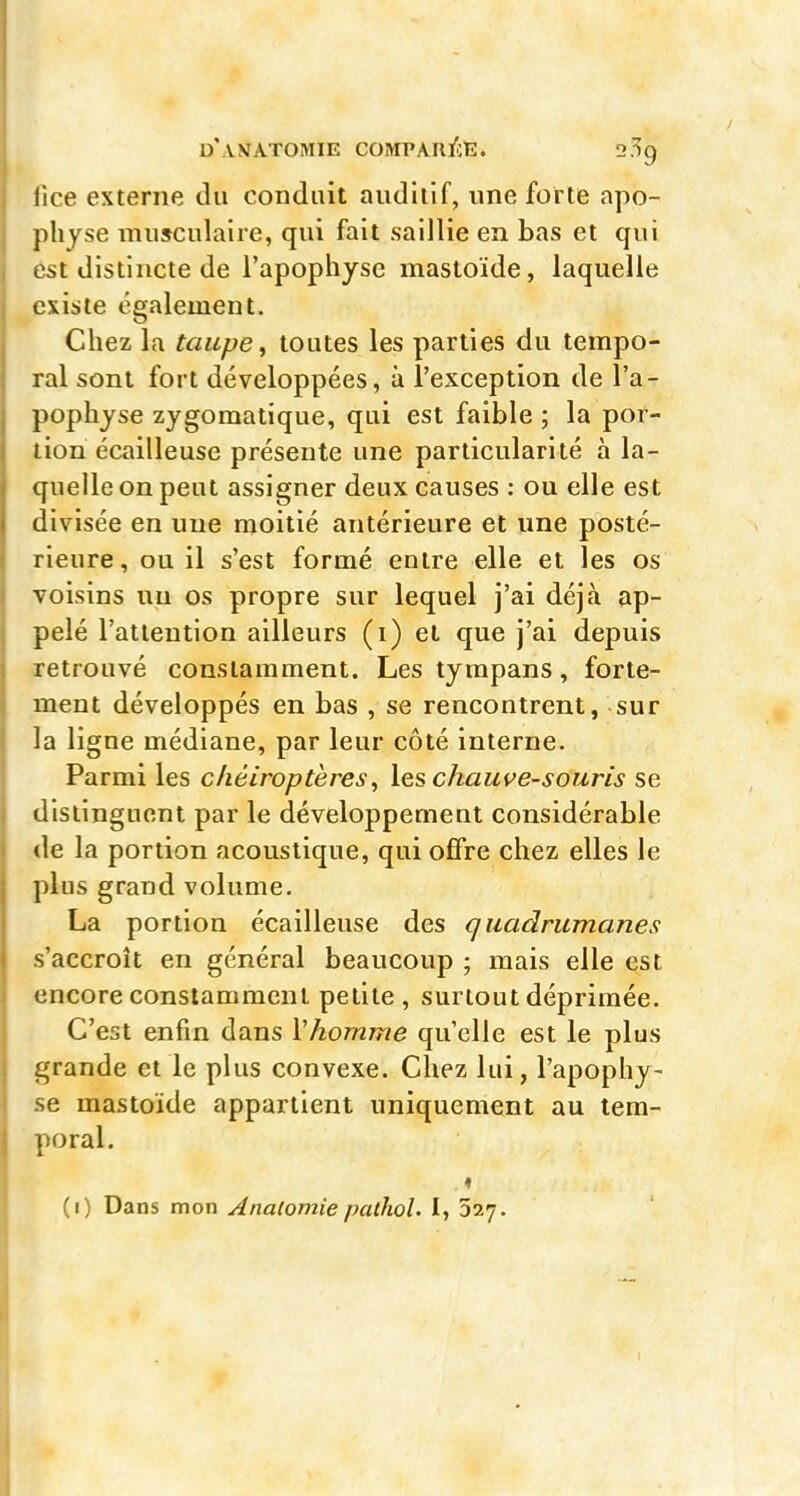 d'.vnatomie coMPAnï^:E. 2.^9 fice externe du conduit auditif, une forte apo- physe musculaire, qui fait saillie en bas et qui est distincte de l'apophyse mastoïde, laquelle existe également. Chez la taupei toutes les parties du tempo- ral sont fort développées, à l'exception de l'a- pophyse zygomatique, qui est faible ; la por- tion écailleuse présente une particularité à la- quelle on peut assigner deux causes : ou elle est divisée en une moitié antérieure et une posté- rieure, ou il s'est formé entre elle et les os voisins un os propre sur lequel j'ai déjà ap- pelé l'attention ailleurs (i) et que j'ai depuis retrouvé constamment. Les tympans, forte- ment développés en bas , se rencontrent, sur la ligne médiane, par leur côté interne. Parmi les chéiroptères^ les chauve-souris se distinguent par le développement considérable de la portion acoustique, qui offre chez elles le plus grand volume. La portion écailleuse des quadrumanes s'accroît en général beaucoup ; mais elle est encore constamment petite , surtout déprimée. C'est enfin dans ïhomme qu'elle est le plus grande et le plus convexe. Chez lui, l'apophy- se mastoïde appartient uniquement au tem- poral. . ♦ (1) Dans mon Anatomie palhol. I, 527.