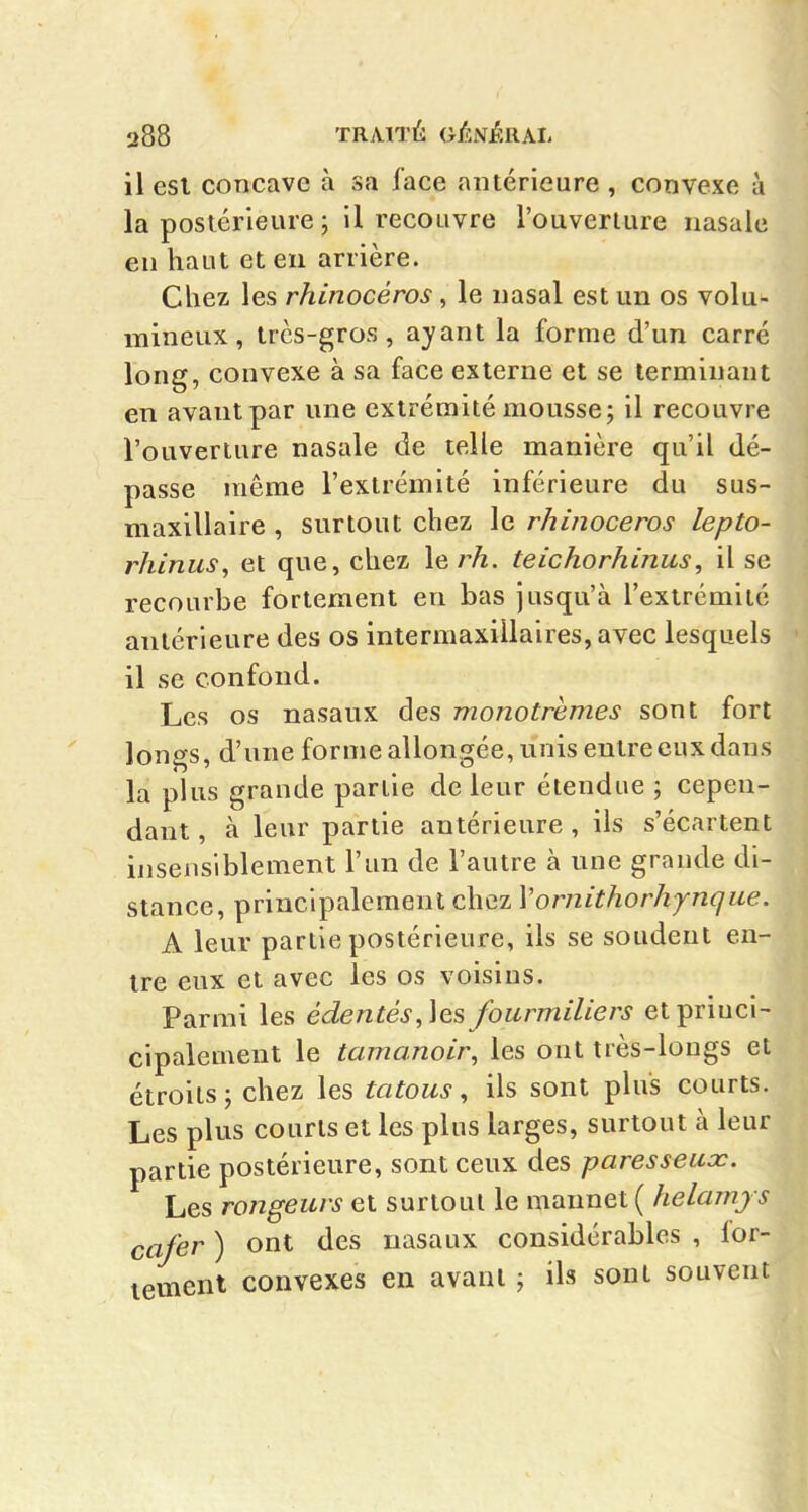 il esl concave à sa face antérieure , convexe à la postérieure ; il recouvre l'ouverture nasale en haut et eu arrière. Chez les rhinocéros, le nasal est un os volu- mineux , très-gros, ayant la forme d'un carré long, convexe à sa face externe et se terminant en avant par une extrémité mousse; il recouvre l'ouverture nasale de telle manière qu'il dé- passe même l'extrémité inférieure du sus- maxillaire , surtout chez le rhinocéros lepto- rhiniis, et que, chez lerh. teichorhinus, il se recourbe fortement en bas jusqu'à l'extrémité antérieure des os intermaxillaires, avec lesquels il se confond. Les os nasaux des monotrèmes sont fort longs, d'une forme allongée, unis entrecux dans la plus grande partie de leur étendue ; cepen- dant , à leur partie antérieure, ils s'écartent insensiblement l'un de l'autre à une grande di- stance, principalement chez Vornithorhynqiie. A leur partie postérieure, ils se soudent en- tre eux et avec les os voisins. Parmi les édentés,]es fourmiliers etpriuci- cipalemeut le tamanoir, les ont très-longs et étroits; chez les tatous, ils sont plus courts. Les plus courts et les plus larges, surtout à leur partie postérieure, sont ceux des paresseux. Les rongeurs et surtout le mannet ( helamjs cafer ) ont des nasaux considérables , lor- lement convexes en avant ; ils sont souvent