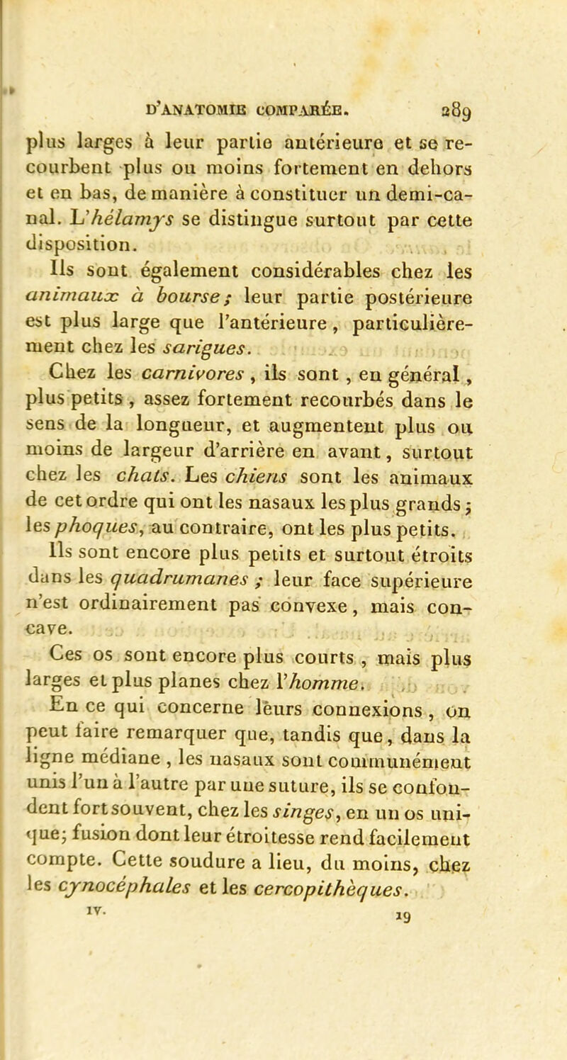 plus larges à leur partie anlérieura et se re- courbent plus ou moins fortement en dehors et en bas, de manière à constituer un demi-ca- nal. Uhélamfs se distingue surtout par cette disposition. , - ; Ils sont également considérables chez les animauoc à bourses leur partie postérieure est plus large que l'antérieure , particulière- ment chez les sarigues. ,f, Chez les carnivores , ils sont , en général,, plus petits, assez fortement recourbés dans le sens de la longueur, et augmentent plus ou moins de largeur d'arrière en avant, surtout chez les chats. Les chiens sont les animaux de cet ordre qui ont les nasaux les plus grands j les phoques^ au contraire, ont les plus petits. Ils sont encore plus petits et surtout étroits dans les quadrumanes ; leur face supérieure n'est ordinairement pas convexe, mais con-r cave. Ces os sont encore plus courts , mais plus larges et plus planes chez Vhomme. En ce qui concerne leurs connexions , on peut faire remarquer que, tandis que, dans la ligne médiane , les nasaux sont communénient unis l'un à l'autre par uue suture, ils se confon- dent fort souvent, chez les singes, en un os uni- <iue- fusion dont leur étroitesse rend facilement compte. Cette soudure a lieu, du moins, chez les cynocéphales et les cercopithèques.