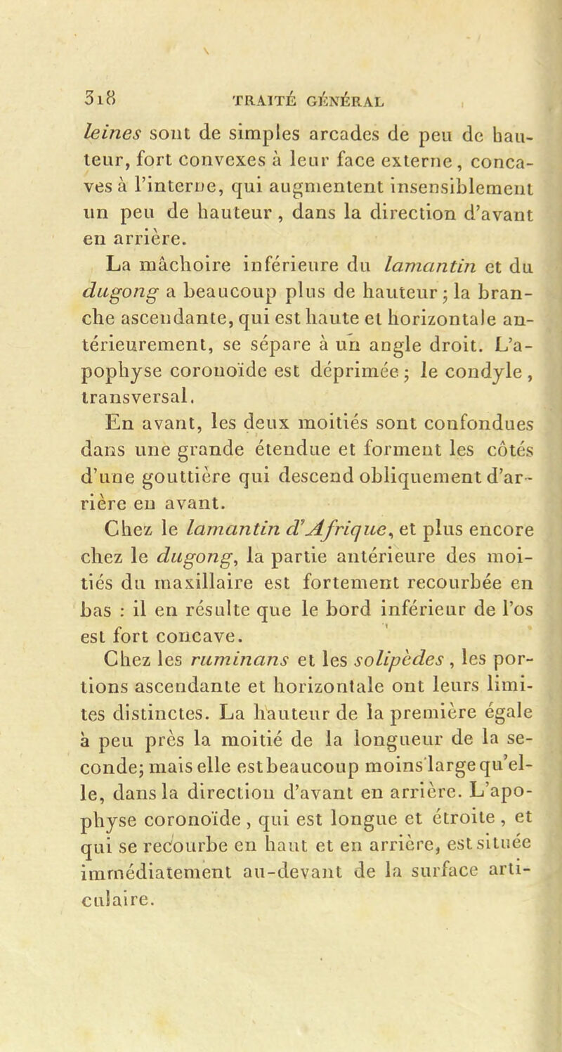 leines sont de simples arcades de peu de hau- teur, fort convexes à leur face externe, conca- ves à l'interne, qui augmentent insensiblement un peu de hauteur , dans la direction d'avant en arrière. La mâchoire inférieure du lamantin et du dugong a beaucoup plus de hauteur; la bran- che ascendante, qui est haute et horizontale an- térieurement, se sépare à un angle droit. L'a- pophyse coronoïde est déprimée; le condjle , transversal. En avant, les deux moitiés sont confondues dans une grande étendue et forment les côtés d'une gouttière qui descend obliquement d'ar - rière eu avant. Chez le lamantin d'Afrique^ et plus encore chez le dugong, la partie antérieure des moi- tiés du maxillaire est fortement recourbée en bas : il en résulte que le bord inférieur de l'os est fort concave. Chez les ruminans et les solipcdes , les por- tions ascendante et horizontale ont leurs limi- tes distinctes. La hauteur de la première égale à peu près la moitié de la longueur de la se- conde; mais elle est beaucoup moins'large qu'el- le, dans la direction d'avant en arrière. L'apo- physe coronoïde , qui est longue et étroite , et qui se recourbe en haut et en arrière, est située immédiatement au-devant de la surface arti- culaire.