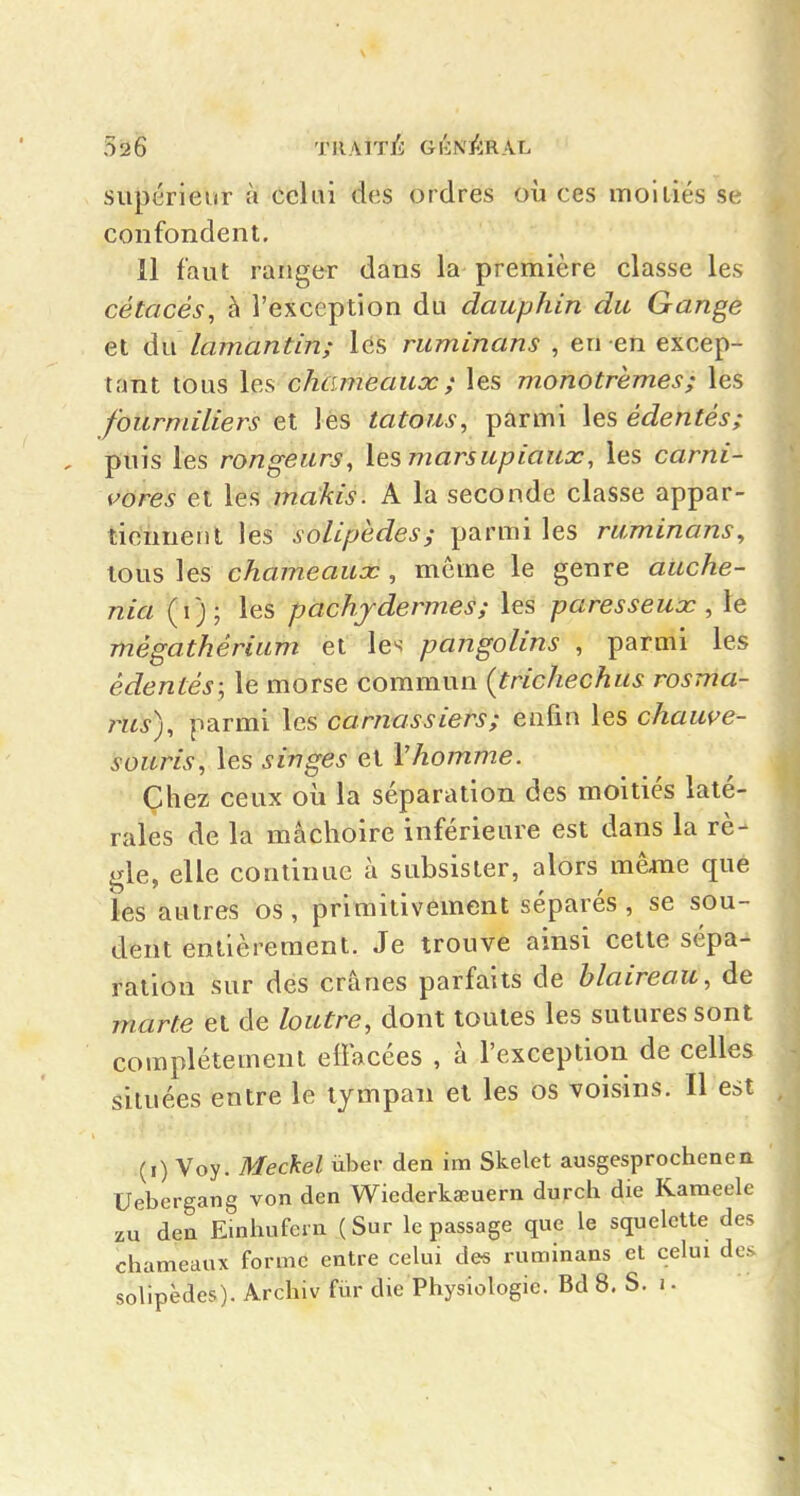 supérieur à celui des ordres où ces moi liés se confondent, 11 faut ranger dans la première classe les cétacés, h l'exception du dauphin du Gange et du lamantin; lés ruminans , en en excep- tant tous les chameaux ; les monotrèmes; les fourmiliers et les tatous, parmi édentés; , puis les rongeurs, les, marsupiaux, les carni- vores et \eîi makis. A la seconde classe appar- tiennenl les solipèdes; parmi les ruminans, tous les chameaux , même le genre auche- nia les pachydermes; les paresseux , le mégathérium et le^ pangolins , parmi les édentés; le morse commun {trichechus rosma- rus), parmi les carnassiers; enfin les chauve- souris, les j'Z77g-e5 et Vhomme. Chez ceux où la séparation des moitiés laté- rales de la mâchoire inférieure est dans la rè- gle, elle continue à subsister, alors même que les autres os, primitivement séparés , se sou- dent entièrement. Je trouve ainsi cette sépa- ration sur des crânes parfaits de blaireau, de marte et de loutre, dont toutes les sutures sont complètement elFacées , à l'exception de celles situées entre le tympan et les os voisins. Il est (0 Voy. Mechel ùber den im Skelet ausgesprochenen Uebergang von den Wiederkœuern durch die Kameele zu den Einhufcrn (Sur le passage que le squelette des chameaux forme entre celui de« ruminans et celui des solipèdes). Archiv fùr die Physiologie. Bd 8, S. i •