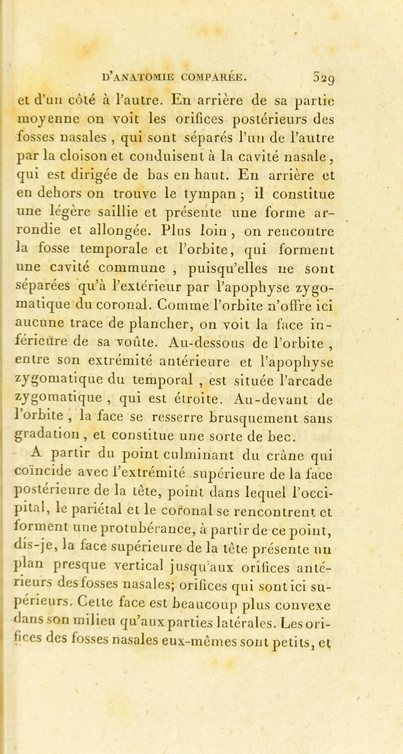 et d'un côlé à l'autre. En arrière de sa partie moyenne on voit les orifices postérieurs des fosses uasales , qui sont séparés l'un de l'autre par la cloison et conduisent à la cavité nasale, qui est dirigée de bas en haut. En arrière et en dehors on trouve le tympan ; il constitue une légère saillie et présente une forme ar- rondie et allongée. Pins loin , on rencontre la fosse temporale et l'orbite, qui forment une cavité commune , puisqu'elles ne sont séparées qu'à l'extérieur par l'apophyse zygo- matique du coronal. Comme l'orbite n'offre ici aucune trace de plancher, on volt la face in- férieure de sa voûte. Au-dessous de l'orbite , entre son extrémité antérieure et l'apophyse zygomatique du temporal , est située l'arcade zygomatique , qui est étroite. Au-devant de l'orbite , la face se resserre brusquement sans gradation , et constitue une sorte de bec. - A partir du point culminant du crâne qui coïncide avec l'extrémité supérieure de la lace postérieure de la tête, point dans lequel l'occi- pital, le pariétal et le cofonal se rencontrent et forment une protubérance, à partir de ce point, dis-je, la face supérieure de la lete présente un plan presque vertical jusqu'aux orifices anté- rieurs des fosses nasales; orifices qui sont ici su- périeurs. Cette face est beaucoup pl us convexe fJans son milieu qu'aux parties latérales. Les ori- iices des fosses nasales eux-mêmes sont petits, et