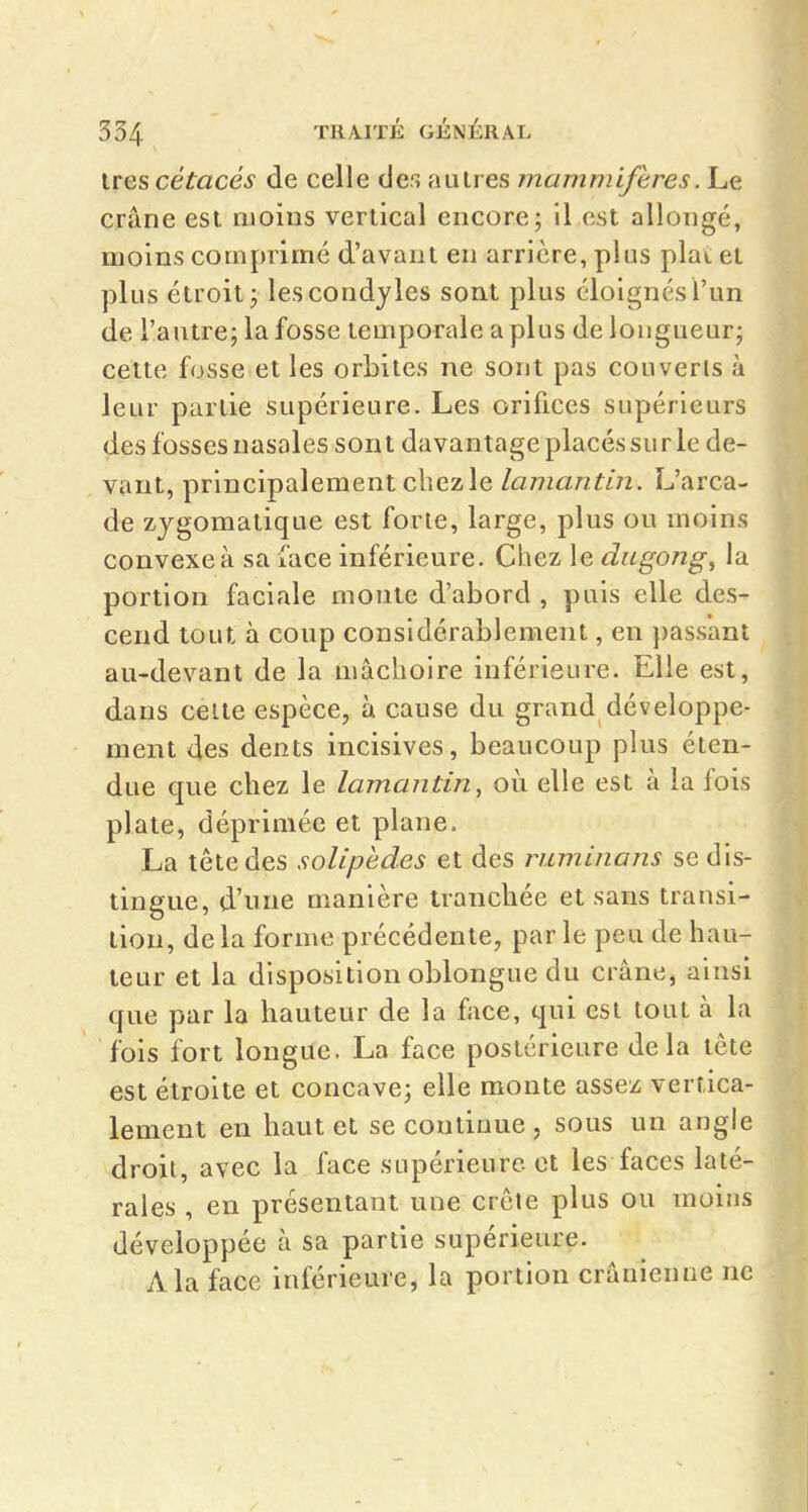 1res cétacés de celle des autres mammifères. Le crâne est moins vertical encore; 11 est allongé, moins comprimé d'avant en arrière, plus plat et plus étroit; lescondyies sont plus élolgnésl'un de l'autre; la fosse temporale a plus de longueur; cette fosse et les orbites ne sont pas couverts à leur partie supérieure. Les orifices supérieurs des fosses nasales sont davantage placés su rie de- vant, principalement cliezle lamantin. L'arca- de zjgomatique est forte, large, plus ou moins convexe à sa face inférieure. Chez le dugong, la portion faciale monte d'abord , puis elle des- cend tout à coup considérablement, en passant au-devant de la mâchoire inférieure. Elle est, dans celte espèce, à cause du grand développe- ment des dents incisives, beaucoup plus éten- due que chez le lamantin, où elle est à la fois plate, déprimée et plane. La tête des solipedes et des ruminons se dis- tingue, d'une manière tranchée et sans transi- lion, de la forme précédente, par le peu de hau- teur et la disposition oblongue du crâne, ainsi que par la hauteur de la face, qui est tout à la fois fort longue. La face postérieure delà tête est étroite et concave; elle monte assez vertica- lement en haut et se continue , sous un angle droit, avec la face supérieure et les faces laté- rales , en présentant une crête plus ou moins développée à sa partie supérieure. A la face inférieure, la portion crânienne ne