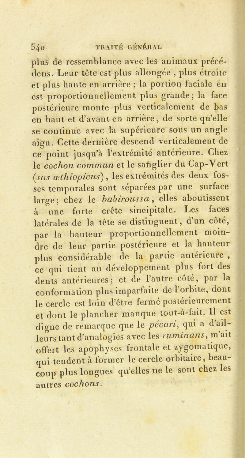 plus de ressemblance avec les animaux précé- dens. Leur tête est plus allongée , plus étroite et plus haute en arrière ; la portioq faciale en est proportiomiellemeut plus grande; la face postérieure monte plus verticalement de bas en haut et d'avant en arrière^ de sorte qu'elle se continue avec la supérieure sous un angle aigu. Cette dernière descend verticalement de ce point jusqu'à l'extrémité antérieure. Chez le cochon commun et le safiglier du Cap-Vert (sus œthiopicus) , les extrémités des deux fos- ses temporales sont séparées par une surface large; chez le bahiroussa , elles aboutissent à une forte crête sincipitale. Les faces latérales de la tête se distinguent, d'un côté, par la hauteur proportionnellement moin- dre de leur partie postérieure et la hauteur plus considérable de la partie antérieure , ce qui tient au développement plus fort des dents antérieures; et de l'autre côté, par la conformation plus imparfaite de l'orbite, dont le cercle est loin d'être fermé postérieurement et dont le plancher manque tout-à-fait. Il est digne de remarque que le pécari, qui a d'ail- leurs tant d'analogies avec les iitminans^m'an offert les apophyses frontale et zygomatique, qui tendent à former le cercle orbitaire, beau- coup plus longues qu'elles ne le sont chez les autres cochons.