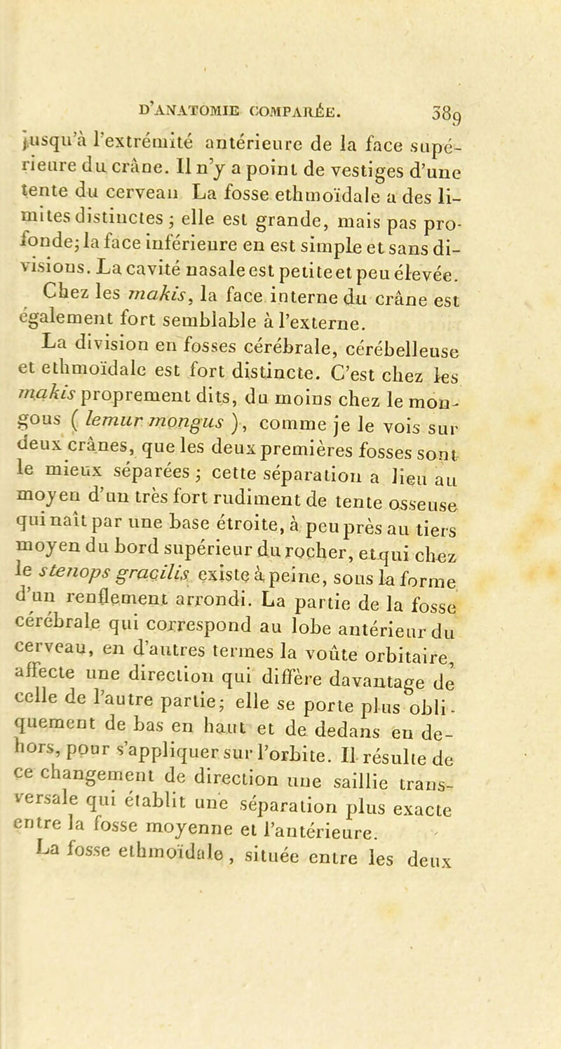 jusqu'à l'extrémïté antérieure de la face supé- rieure du crâne. Il n'y a point de vestiges d'une tente du cerveau La fosse ethmoïdale a des li- mites distinctes ; elle est grande, mais pas pro- fonde; la face inférieure en est simple et sans di- visions. La cavité nasale est peiiteet peu élevée. Chez les makis, la face interne du crâne est également fort semblable à l'externe. La division en fosses cérébrale, cérébelleuse et ethmoïdale est fort distincte. C'est chez les makis proprement dits, du moins chez le mon^ gous ( lemur mongus ) , comme je le vois sur deux crânes, que les deux premières fosses sont- le mieux séparées ; cette séparation a lieu au mojen d'un très fort rudiment de tente oiseuse qui naît par une base étroite, à peu près au tiers moyen du bord supérieur du rocher, etqui chez le ste?iops graçilis existe à, peine, sous k forme d'un renflement arrondi. La partie de la fosse cérébrale qui correspond au lobe antérieur du cerveau, en d'autres termes la voûte orbitaire affecte une direction qui diffère davantage de celle de l'autre partie; elle se porte plus obli- quement de bas en haut et de dedans en de- hors, pour s'appliquer sur l'orbite. Il- résulte de ce changement de direction une saillie trans- versale qui établit une séparation plus exacte entre la fosse moyenne et l'antérieure. La fosse ethmoïdale, située entre les deux