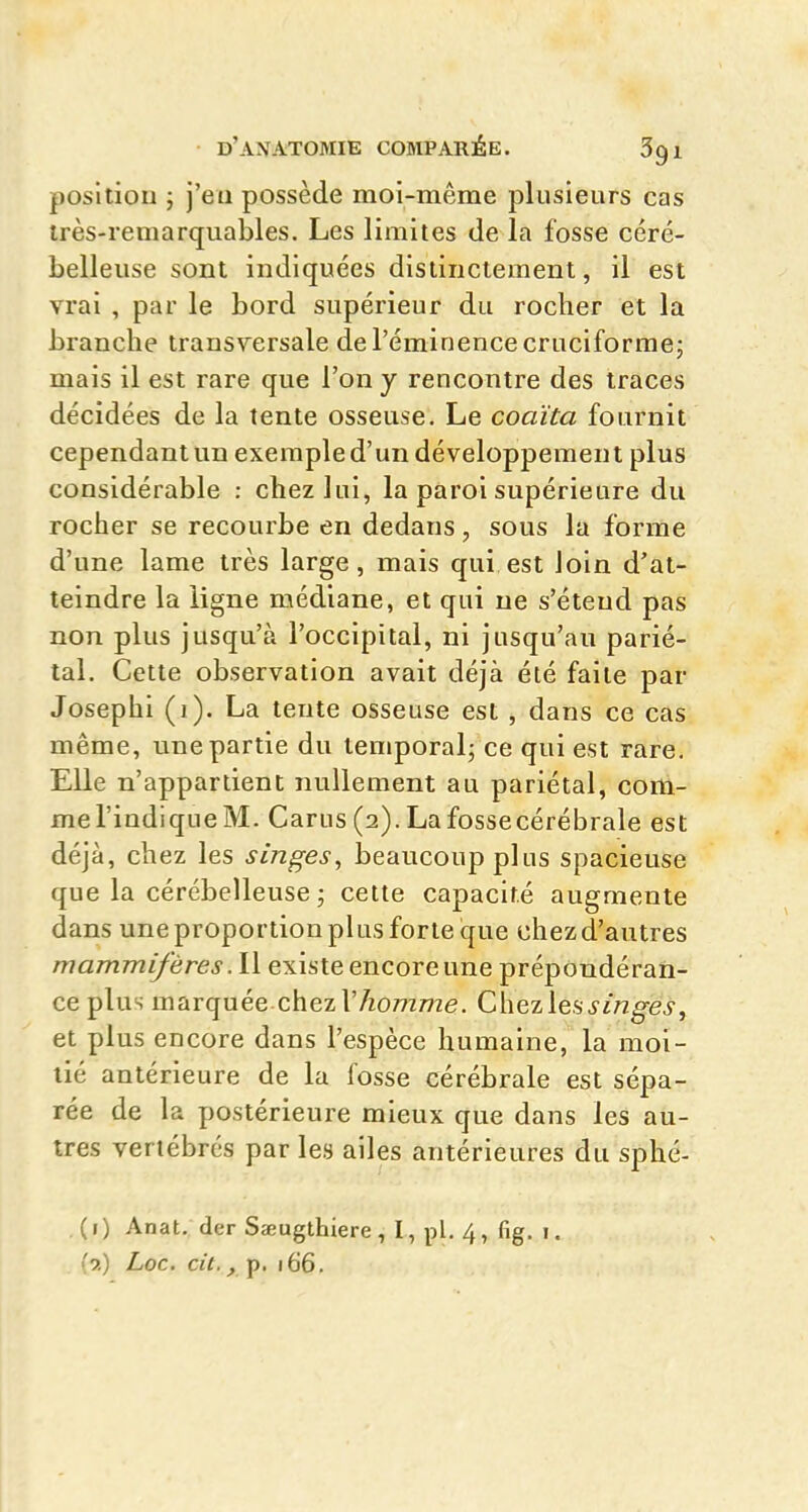 posltiou ; j'ea possède moi-même plusieurs cas irès-remarquables. Les limites de la fosse céré- belleuse sont indiquées distinctement, il est vrai , par le bord supérieur du rocher et la branche transversale del'éminencecruciforraej mais il est rare que l'on y rencontre des traces décidées de la tente osseuse. Le coaïta fournit cependant un exemple d'un développement plus considérable : chez lui, la paroi supérieure du rocher se recourbe en dedans, sous la forme d'une lame très large, mais qui est loin d'at- teindre la ligne médiane, et qui ne s'étend pas non plus jusqu'à l'occipital, ni jusqu'au parié- tal. Cette observation avait déjà été faite par Josephi (i). La tente osseuse est , dans ce cas même, une partie du temporal; ce qui est rare. Elle n'appartient nullement au pariétal, com- me l'indique M. Carus (2).Lafossecérébrale est déjà, chez les singes^ beaucoup plus spacieuse que la cérébelleuse ; cette capacité augmente dans une proportion plus forte que chez d'autres mammifères .W existe encore une prépondéran- ce plus marquée chezl'Aomme. C\\ei\eHsinges^ et plus encore dans l'espèce humaine, la moi- tié antérieure de la fosse cérébrale est sépa- rée de la postérieure mieux que dans les au- tres vertébrés par les ailes antérieures du sphé- , ( I ) Anat. der Sajugthiere , I, pl. 4 , fig. i. (9.) Loc. cit., p. 166.