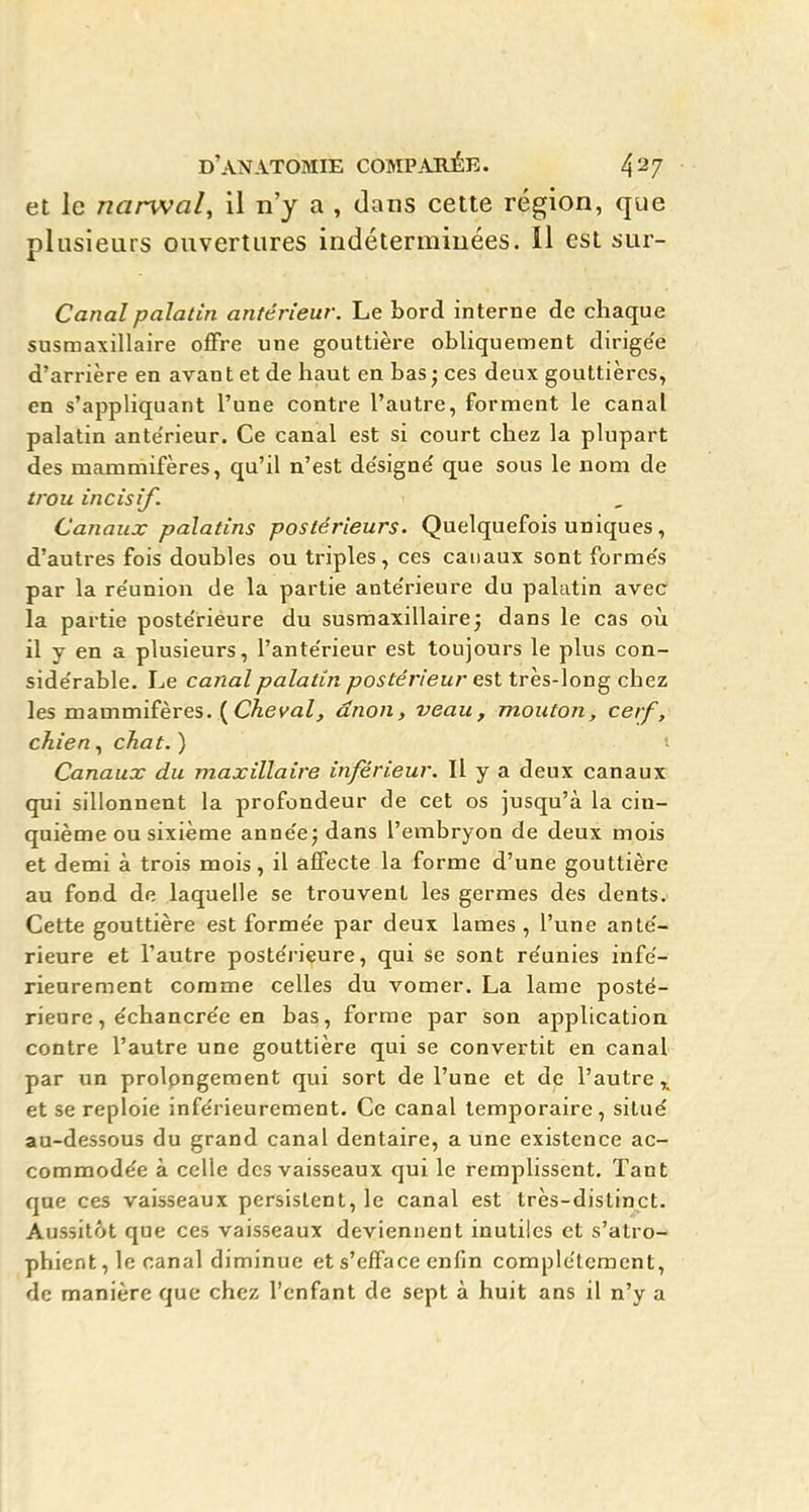 et le narwal, il n'y a , dans cette région, que plusieurs ouvertures indéterminées. Il est sur- Canalpalatin antérieur. Le bord interne de chaque susma\illaire offre une gouttière obliquement dirige'e d'arrière en avant et de haut en bas • ces deux gouttières, en s'appliquant l'une contre l'autre, forment le canal palatin ante'rieur. Ce canal est si court chez la plupart des mammifères, qu'il n'est de'signé que sous le nom de trou incisif. Canaux palatins postérieurs. Quelquefois uniques, d'autres fois doubles ou triples, ces canaux sont forme's par la re'union de la partie ante'rieure du palatin avec la partie poste'riéure du susmaxillaire; dans le cas où il y en a plusieurs, l'ante'rieur est toujours le plus con- sidérable. Le canal palatin postérieur est très-long chez les mammifères. (CAev'aZ, dnon, veau, mouton, cerf, chien, chat. ) Canaux du maxillaire inférieur. Il y a deux canaux qui sillonnent la profondeur de cet os jusqu'à la cin- quième ou sixième anne'e; dans l'embryon de deux mois et demi à trois mois, il affecte la forme d'une gouttière au fond de laquelle se trouvent les germes des dents. Cette gouttière est forme'e par deux lames , l'une ante'- rieure et l'autre poste'riéure, qui se sont re'unies infè- rieureraent comme celles du vomer. La lame posté- rieure, e'chancre'e en bas, forme par son application contre l'autre une gouttière qui se convertit en canal par un prolongement qui sort de l'une et de l'autre ,^ et se reploie infe'rieurement. Ce canal temporaire, situé au-dessous du grand canal dentaire, a une existence ac- commodée à celle des vaisseaux qui le remplissent. Tant que ces vaisseaux persistent, le canal est très-distinct. Aussitôt que ces vaisseaux deviennent inutiles et s'atro- phient, le canal diminue et s'efface enfin complètement, de manière que chez l'enfant de sept à huit ans il n'y a